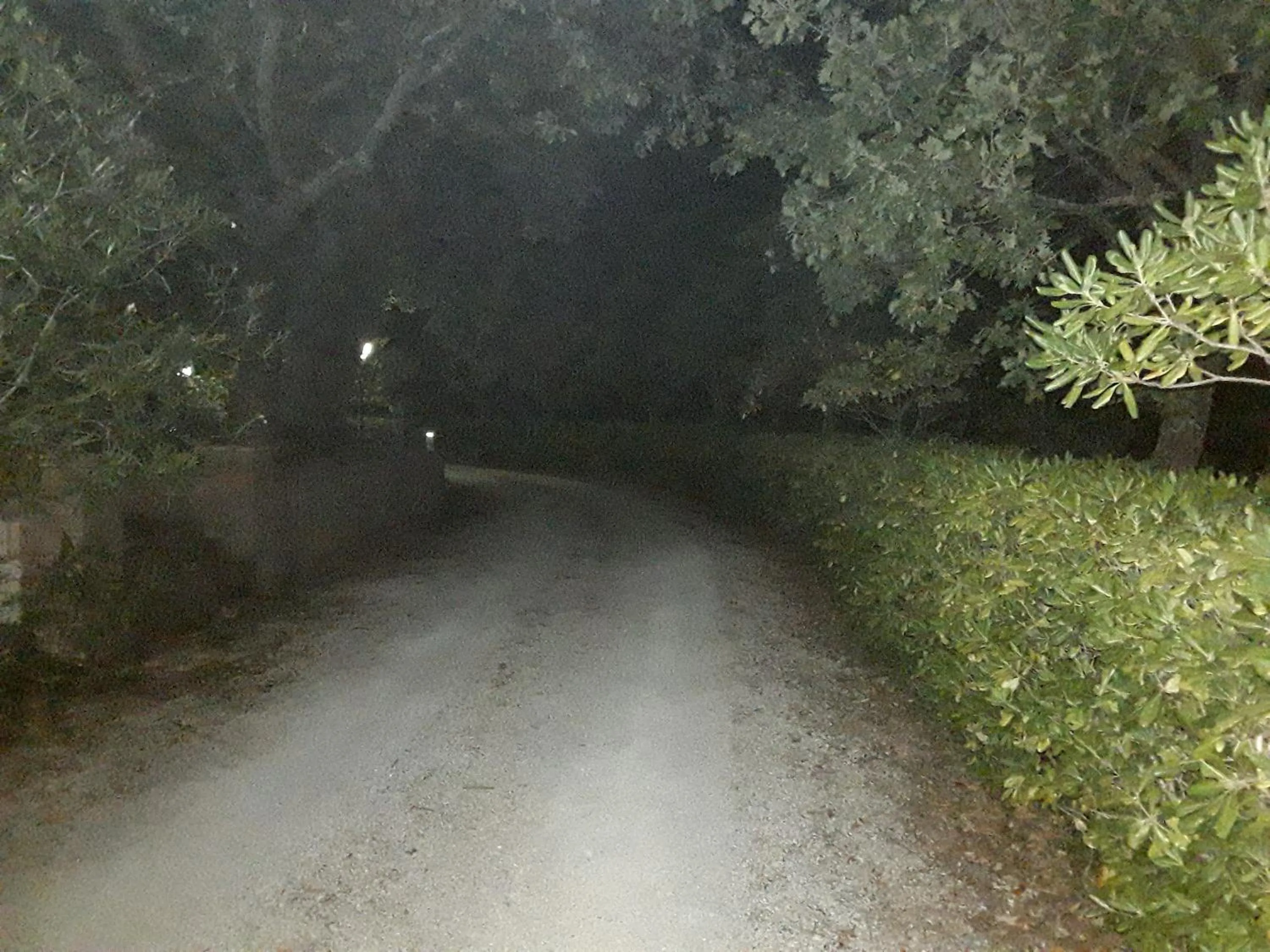 Night in La Casa nel Verde