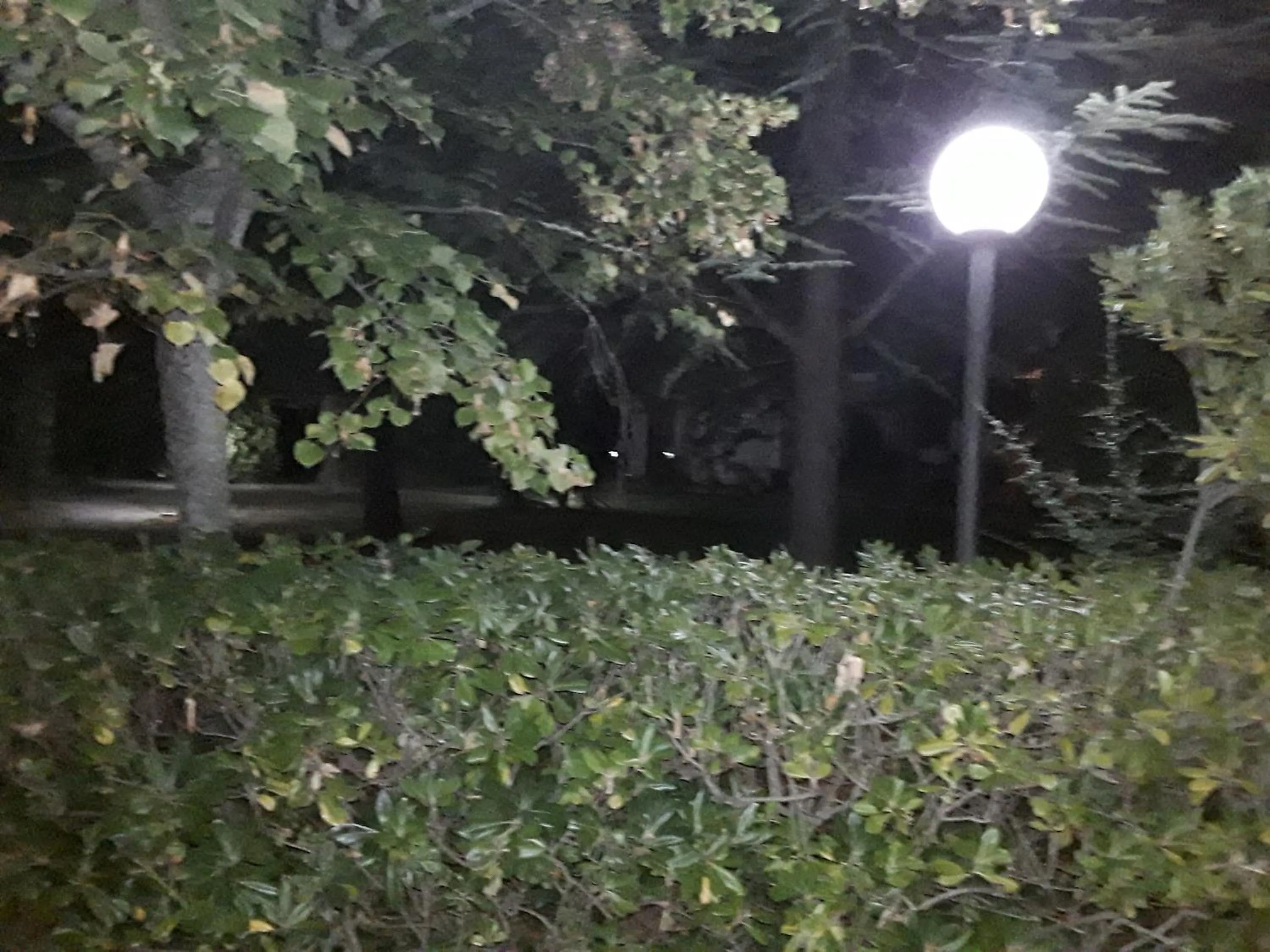 Night in La Casa nel Verde