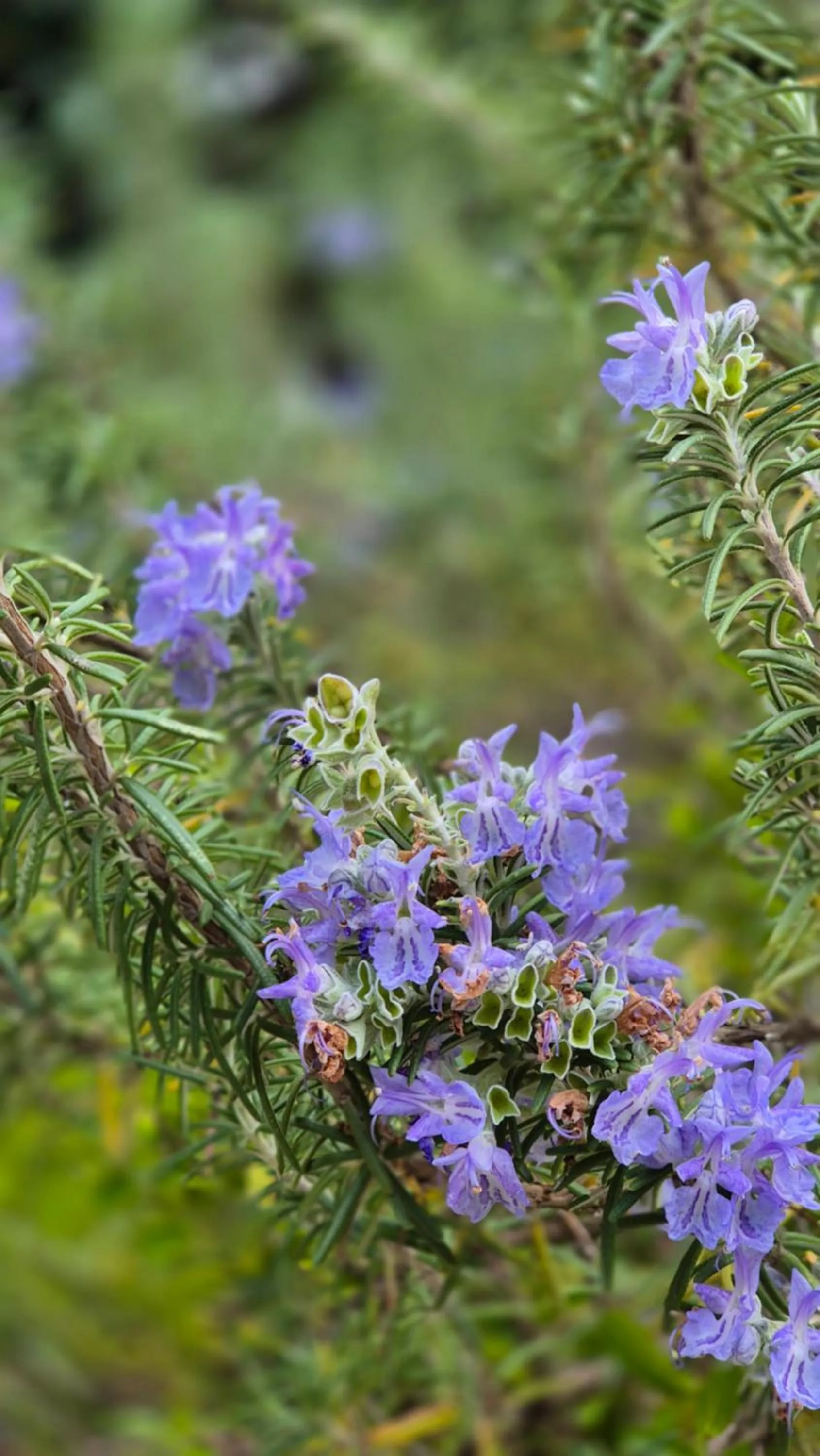 Day in Relais Villa Montedonzelli