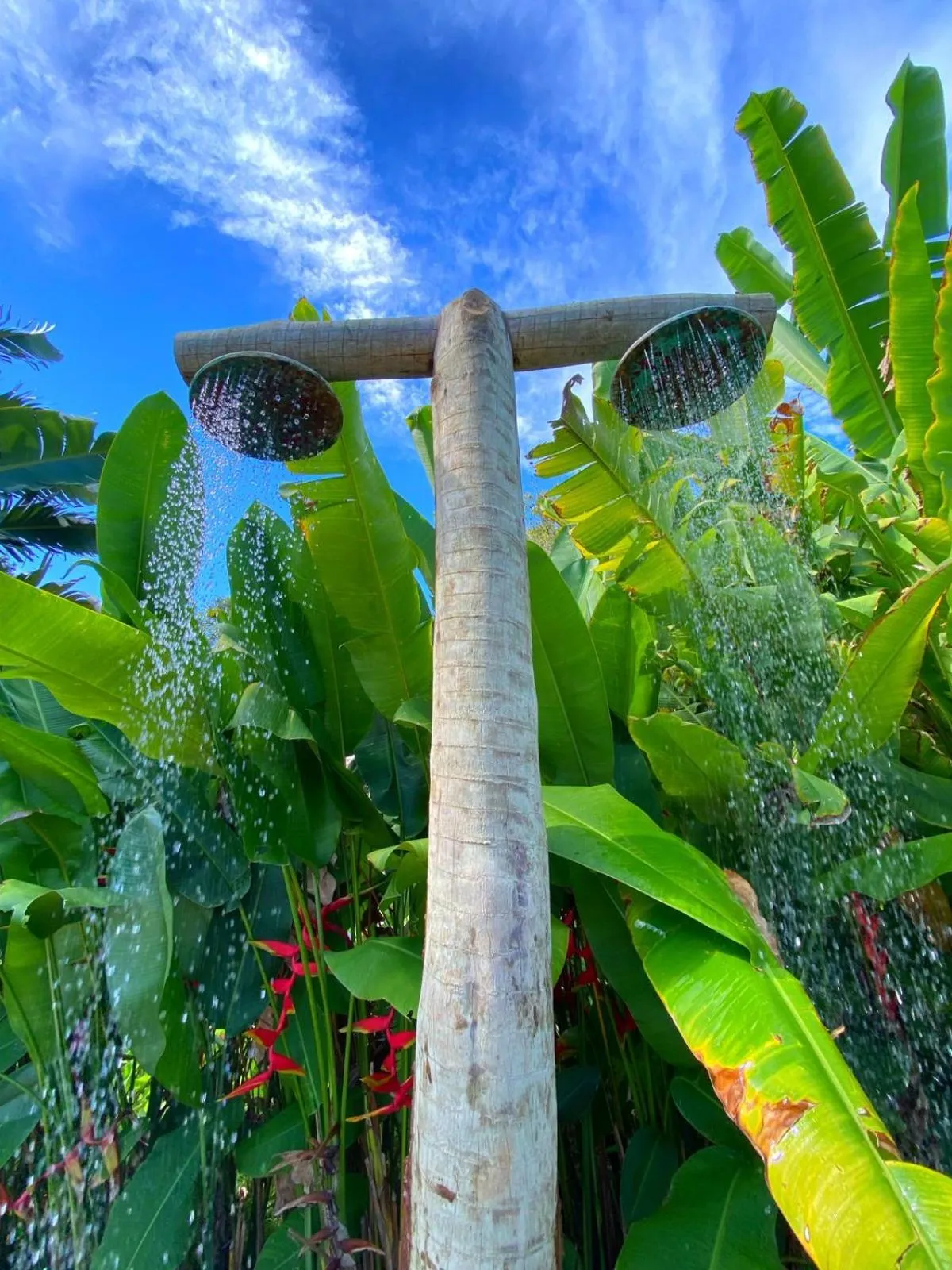 Shower in Villa dos Nativos Boutique Hotel