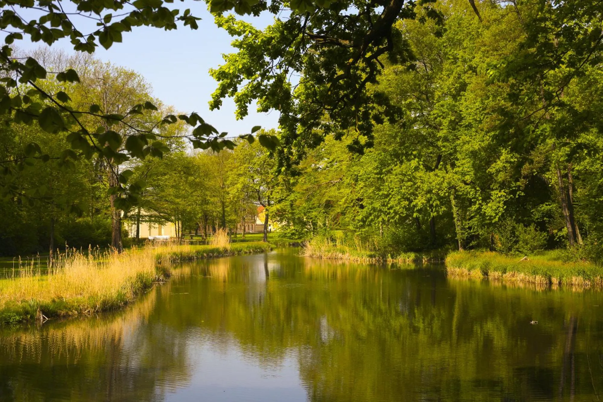 Garden in Schloss Lübbenau