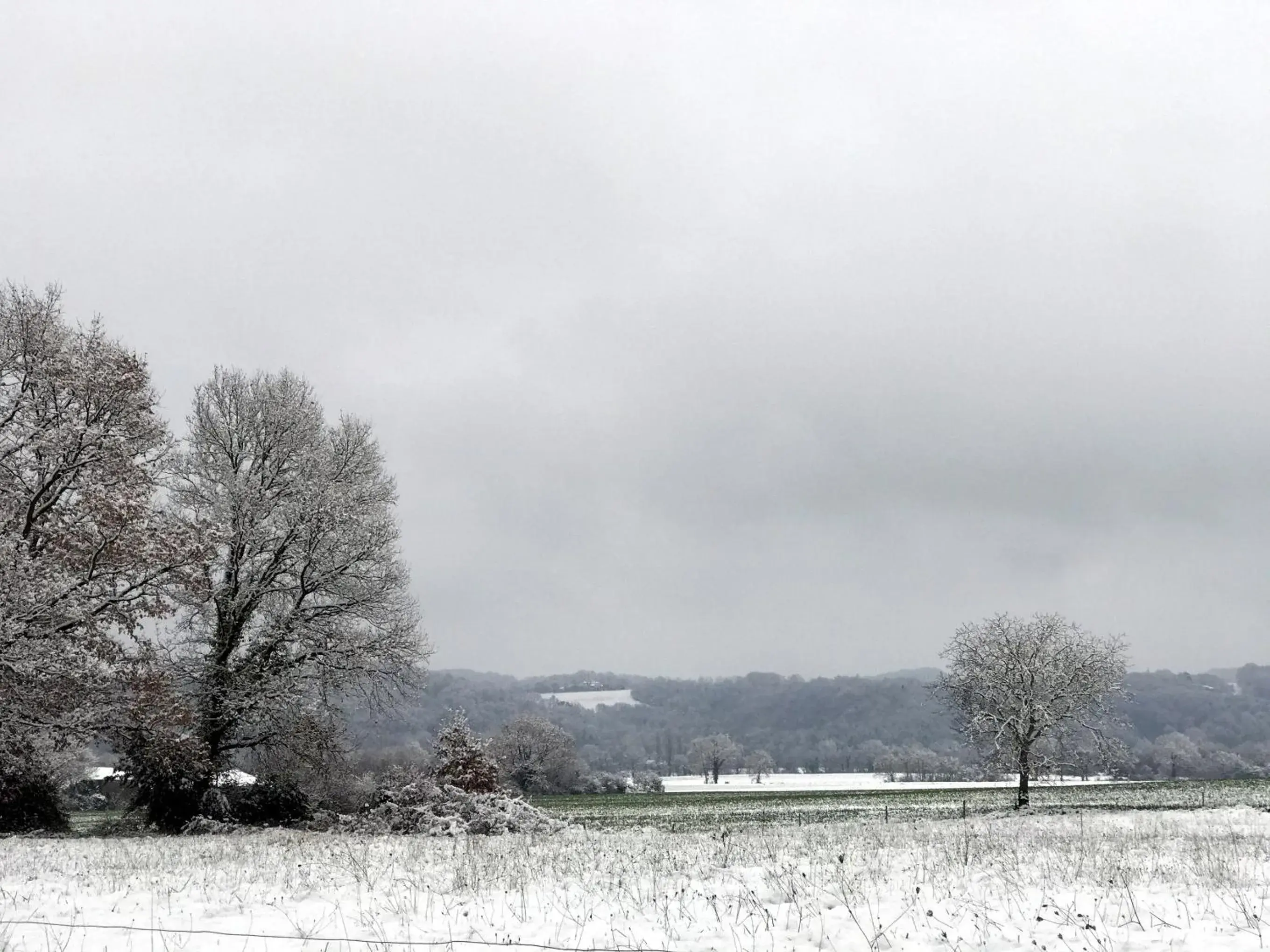 Neighbourhood in Au Plech Neighbourhood in Au Plech