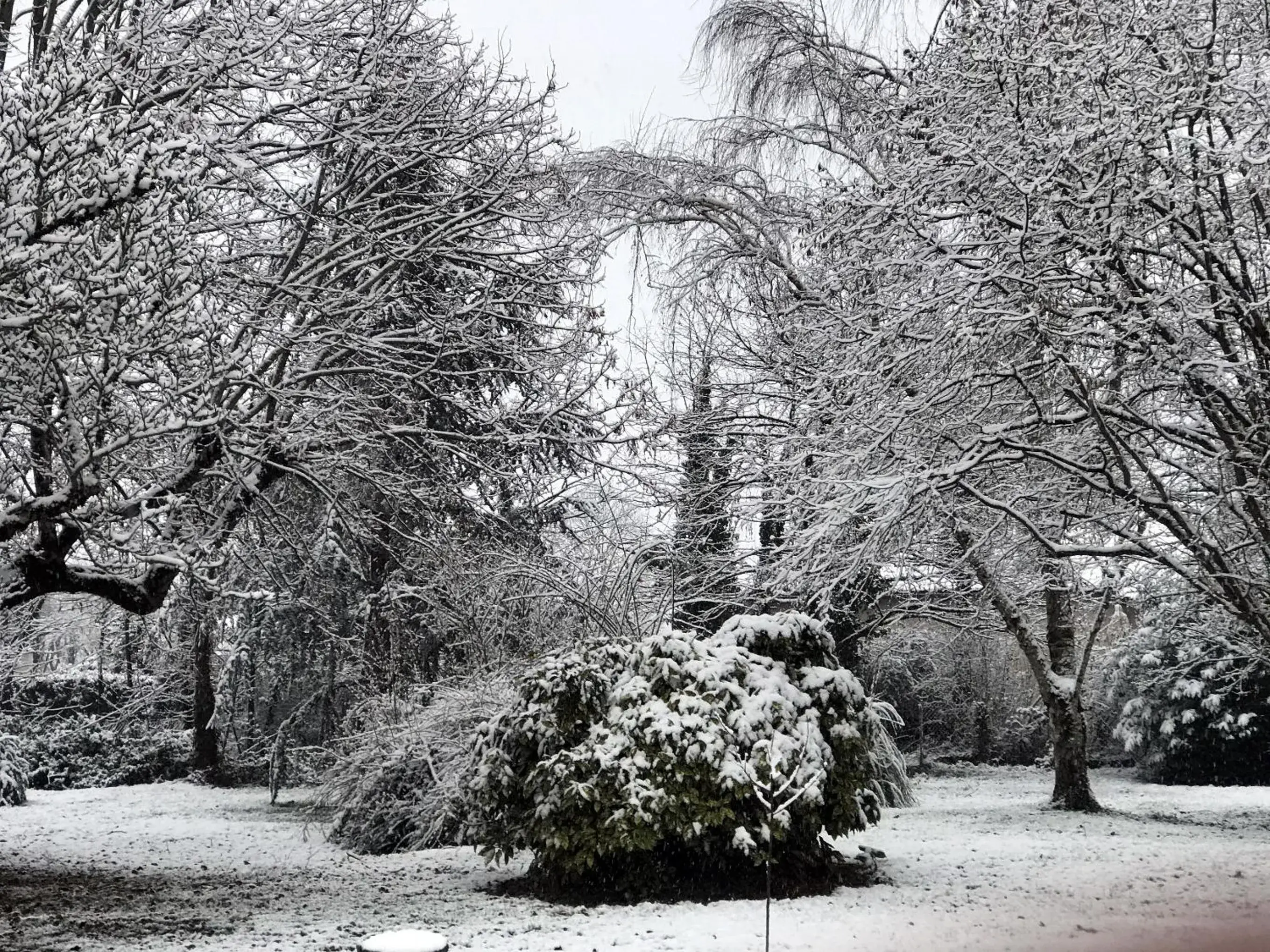 Garden in Au Plech Garden in Au Plech