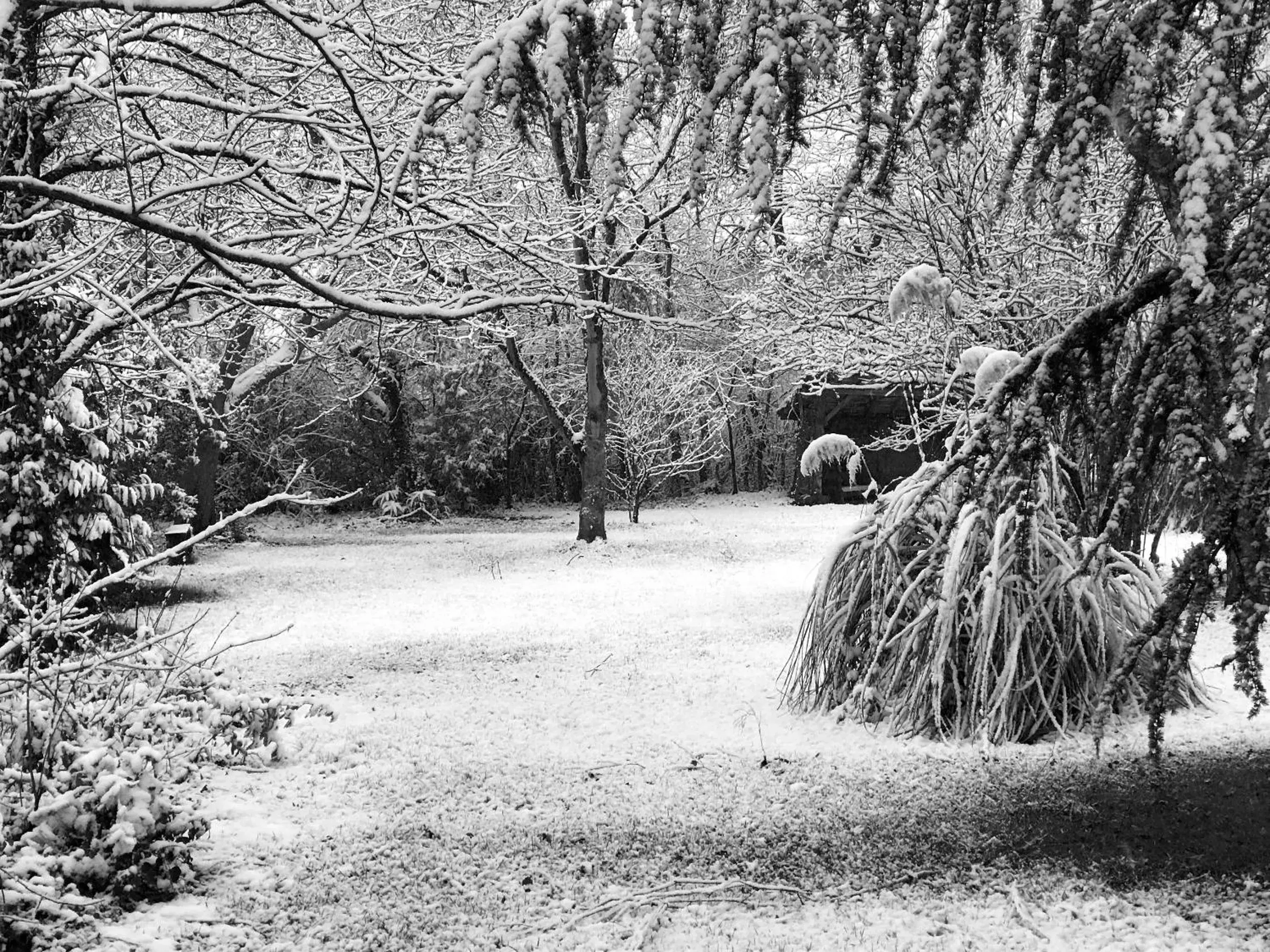 Garden in Au Plech Garden in Au Plech