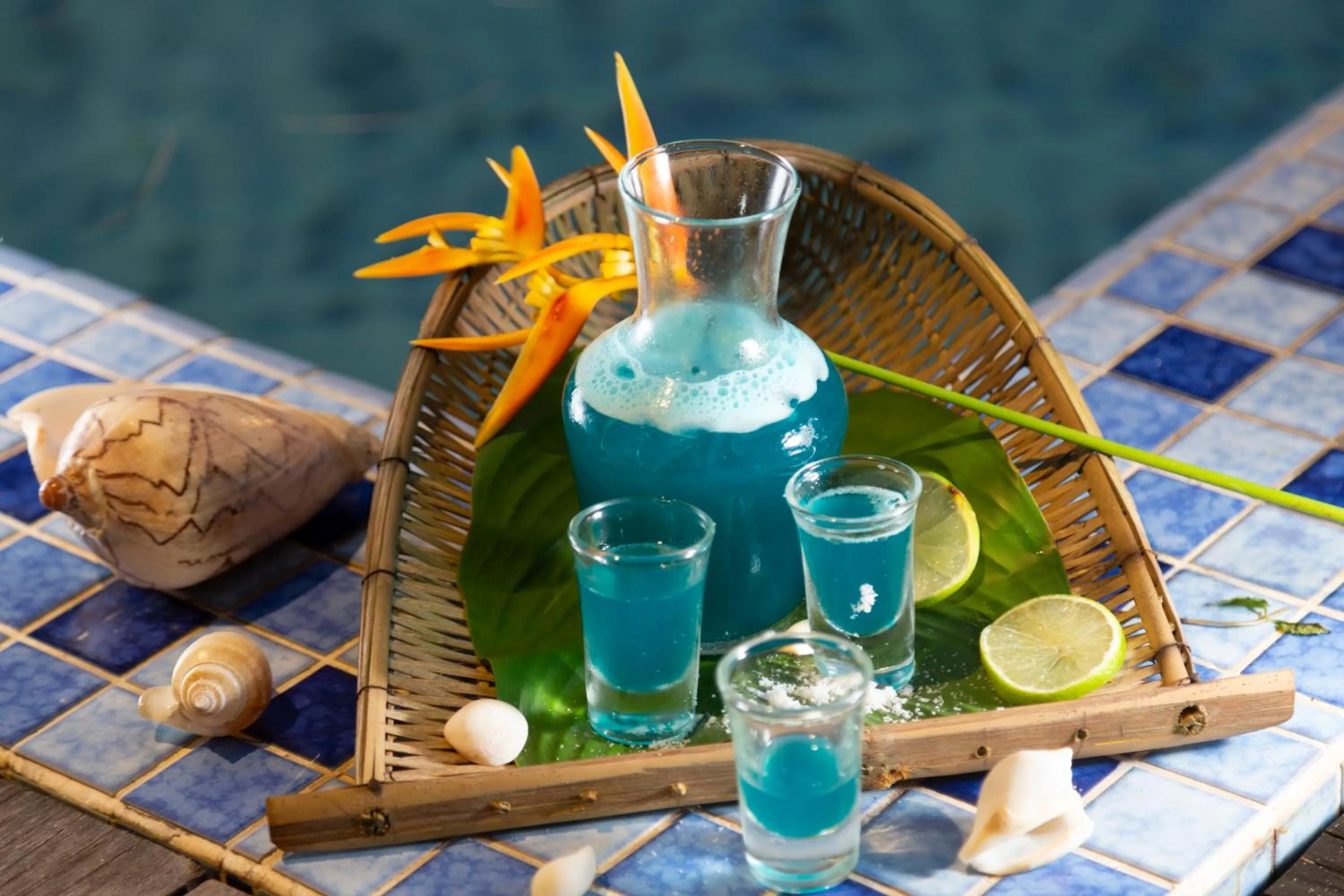 Restaurant/places to eat in Eden Beach Resort by EHM