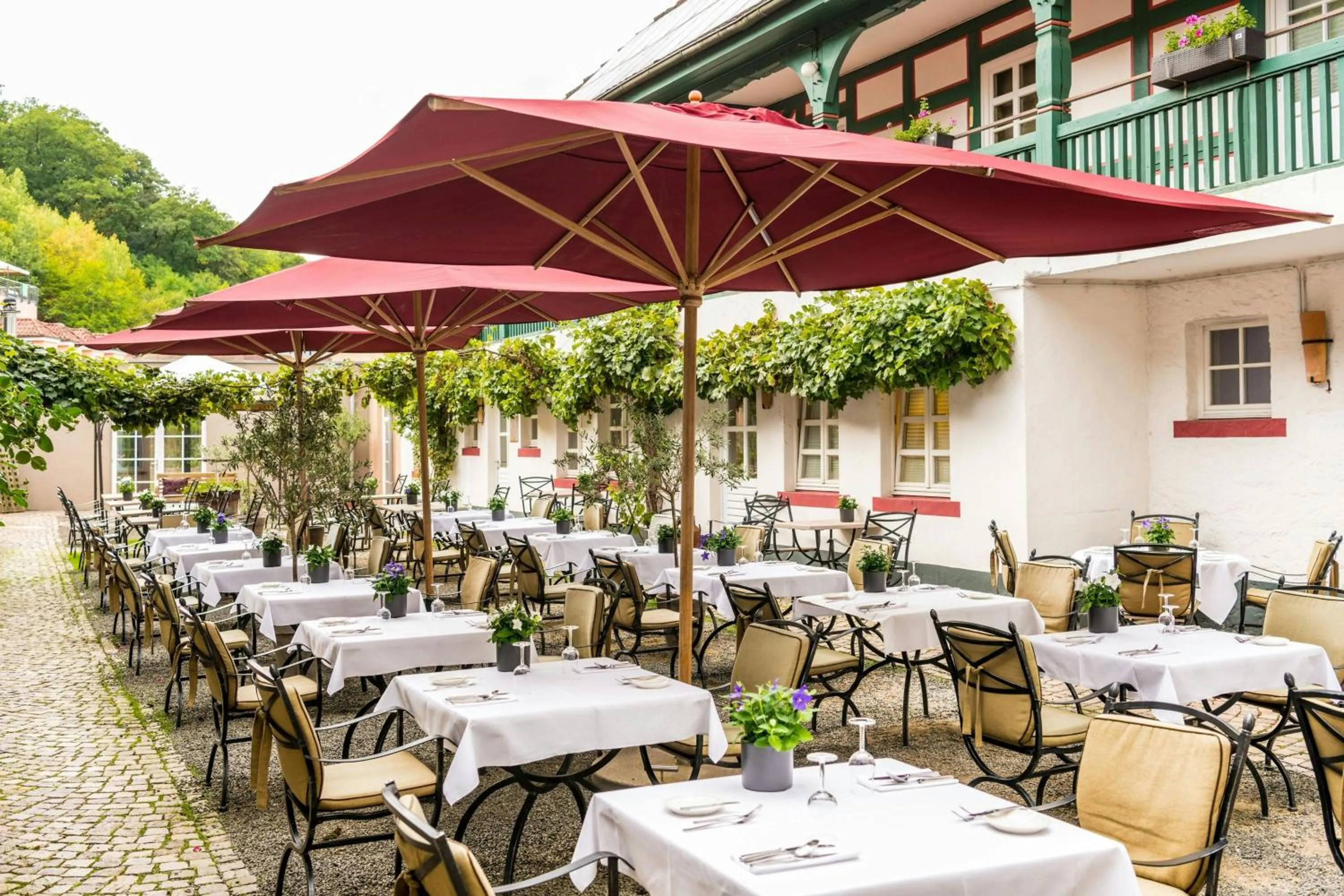 Restaurant/places to eat in Bollants SPA im Park, Autograph Collection