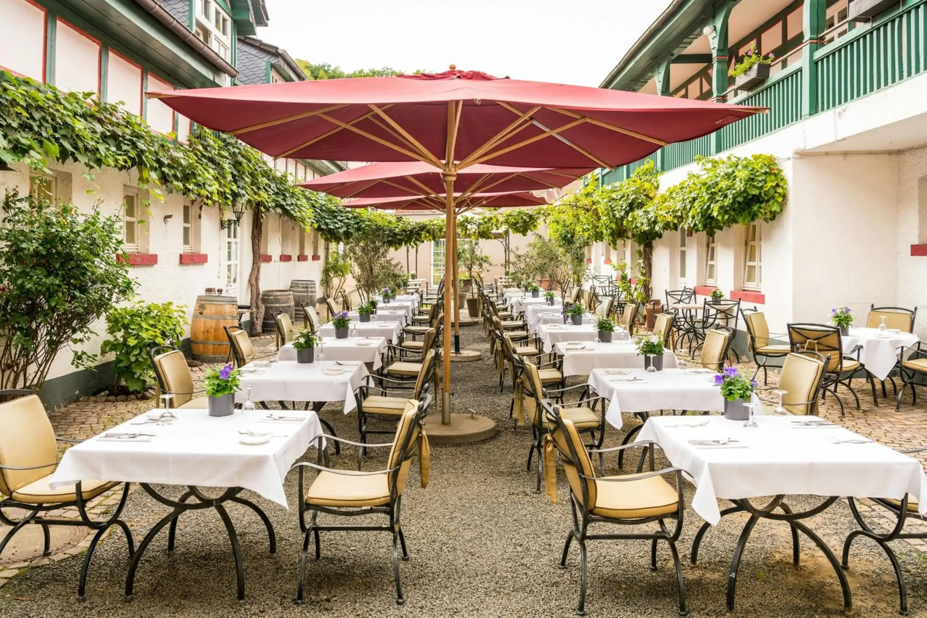 Restaurant/places to eat in Bollants SPA im Park, Autograph Collection Restaurant/places to eat in Bollants SPA im Park, Autograph Collection