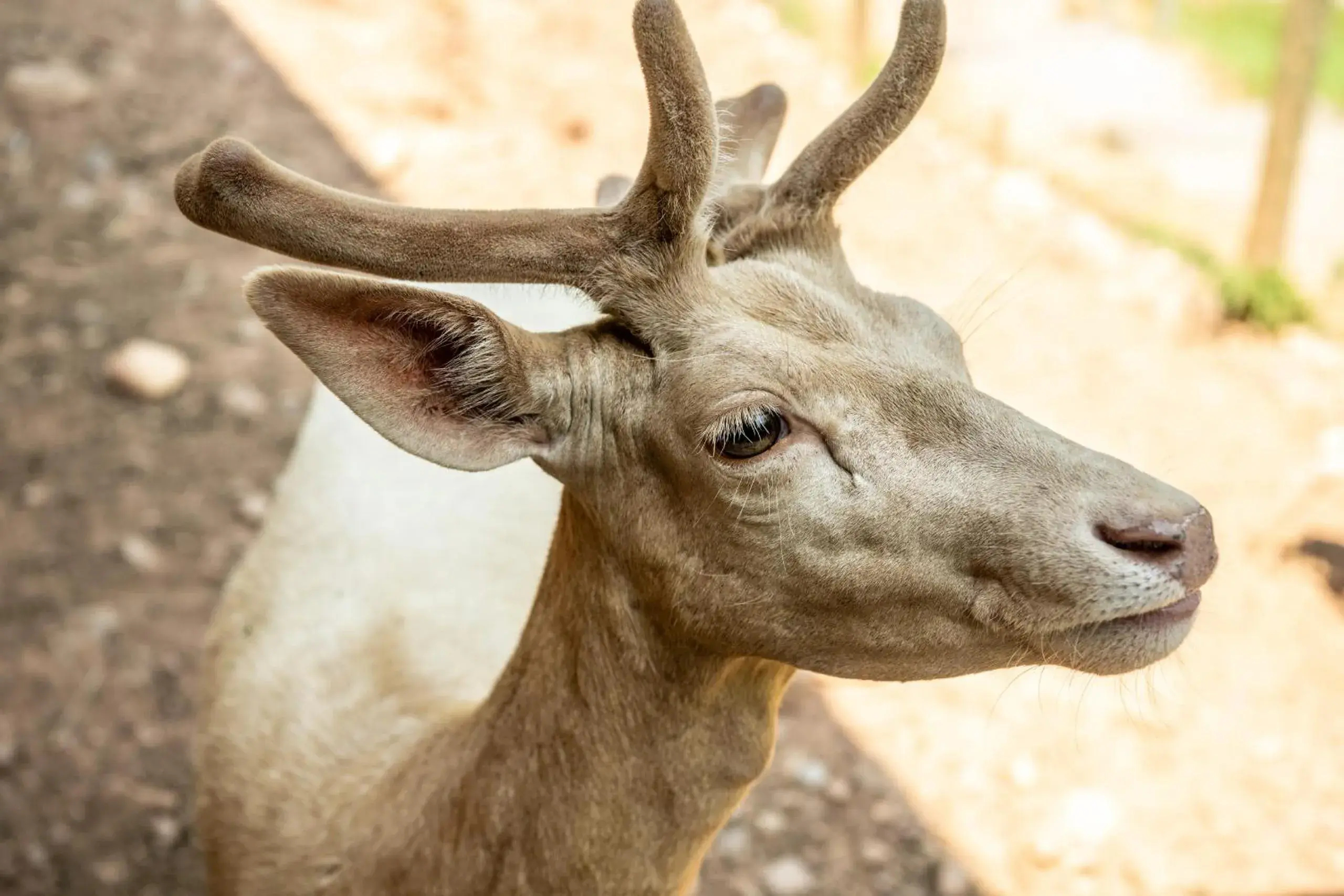 Spa and wellness centre/facilities in BollAnts Spa im Park Spa and wellness centre/facilities in BollAnts Spa im Park