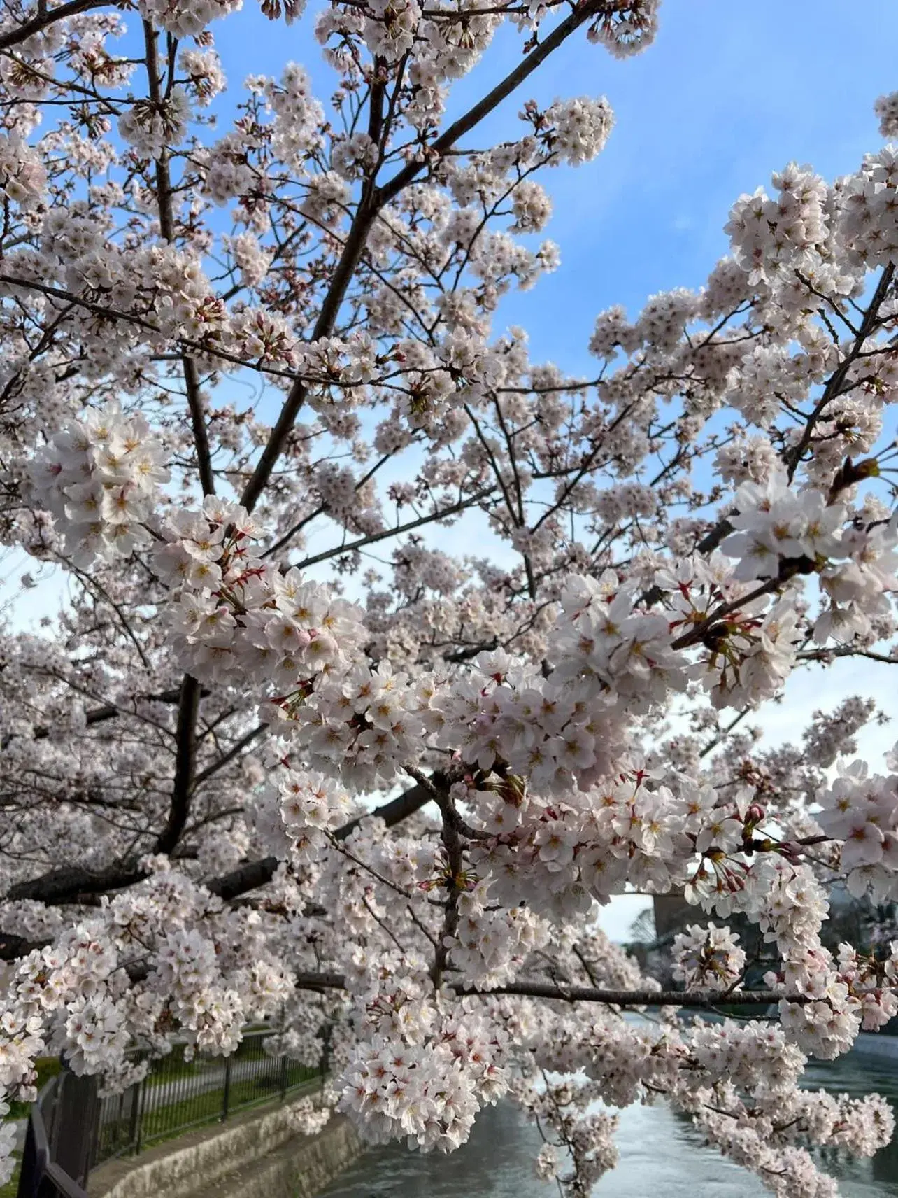 Nearby landmark in Rinn Niomon Nearby landmark in Rinn Niomon