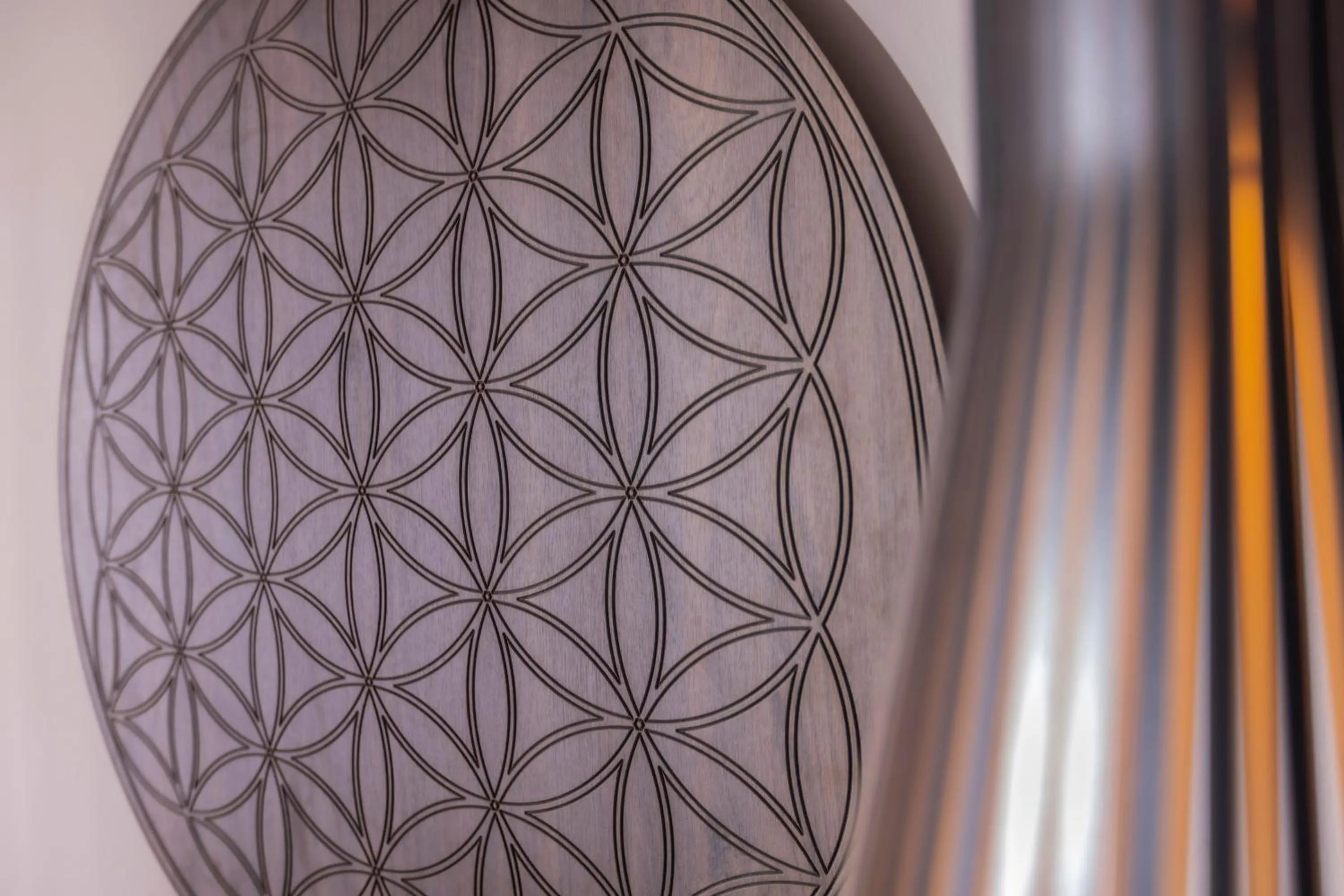 Photo of the whole room in Schwarzwald Panorama