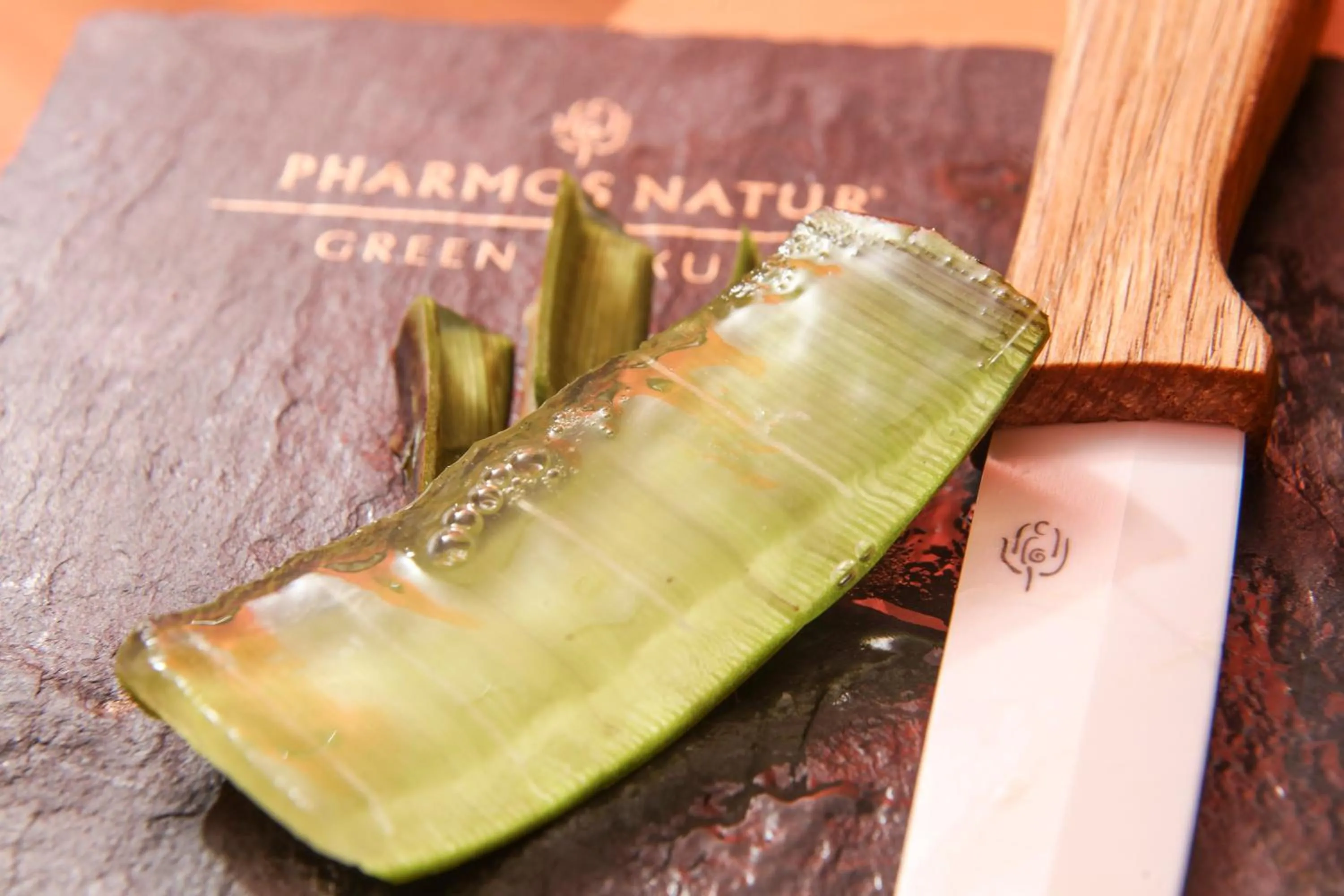 Massage in Schwarzwald Panorama