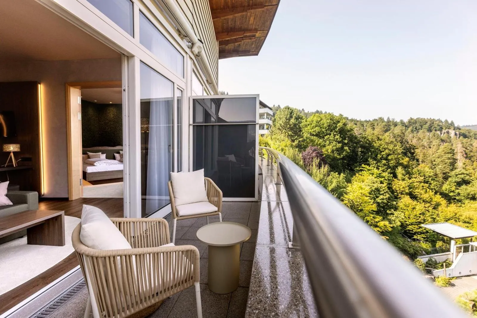 Day in Schwarzwald Panorama