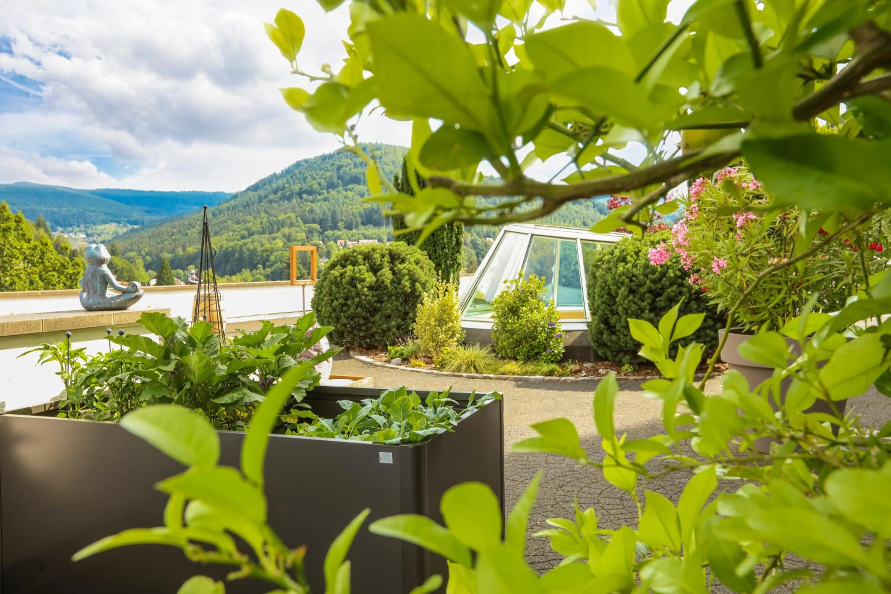 Property building in Schwarzwald Panorama