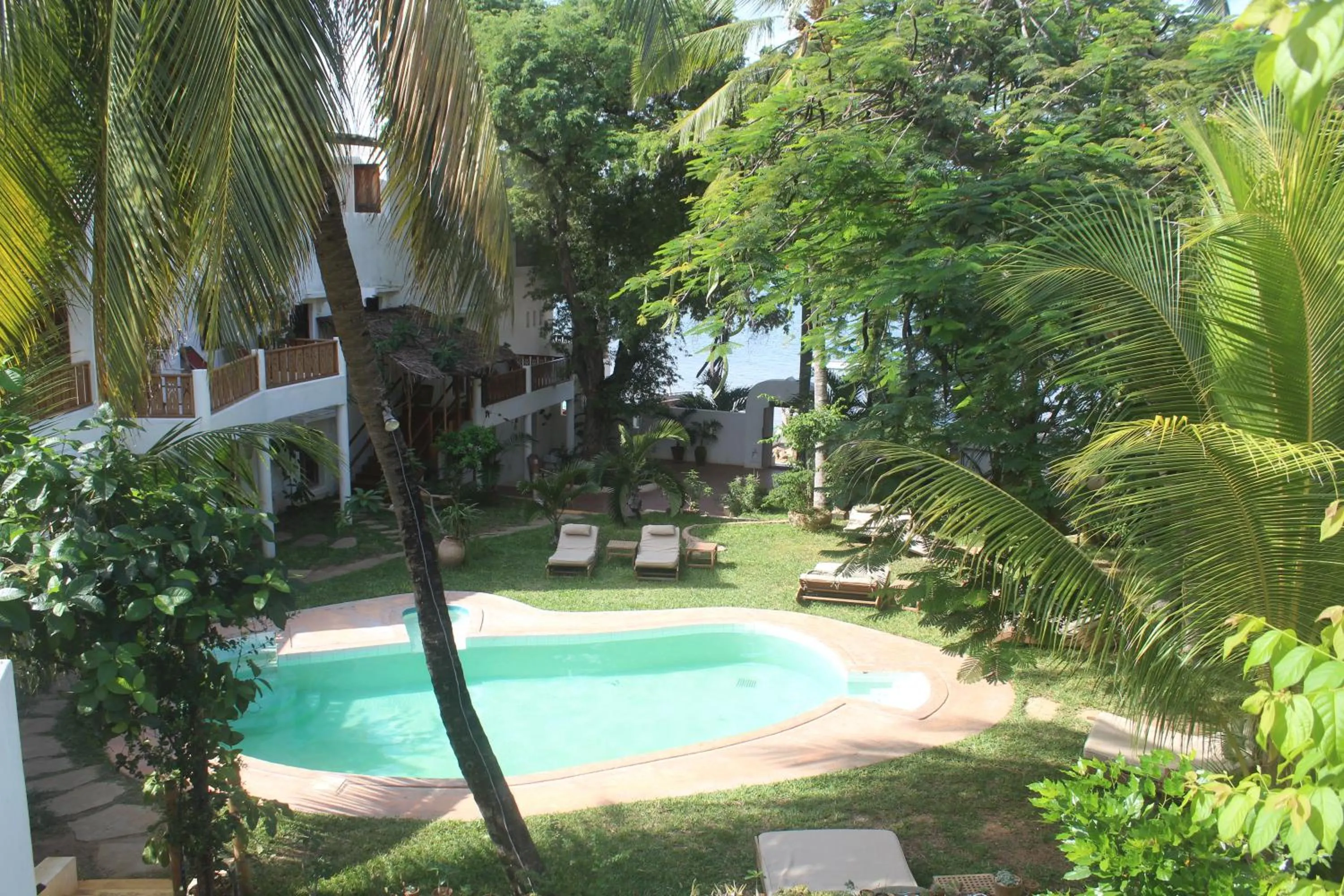 Swimming pool in Kijani Hotel