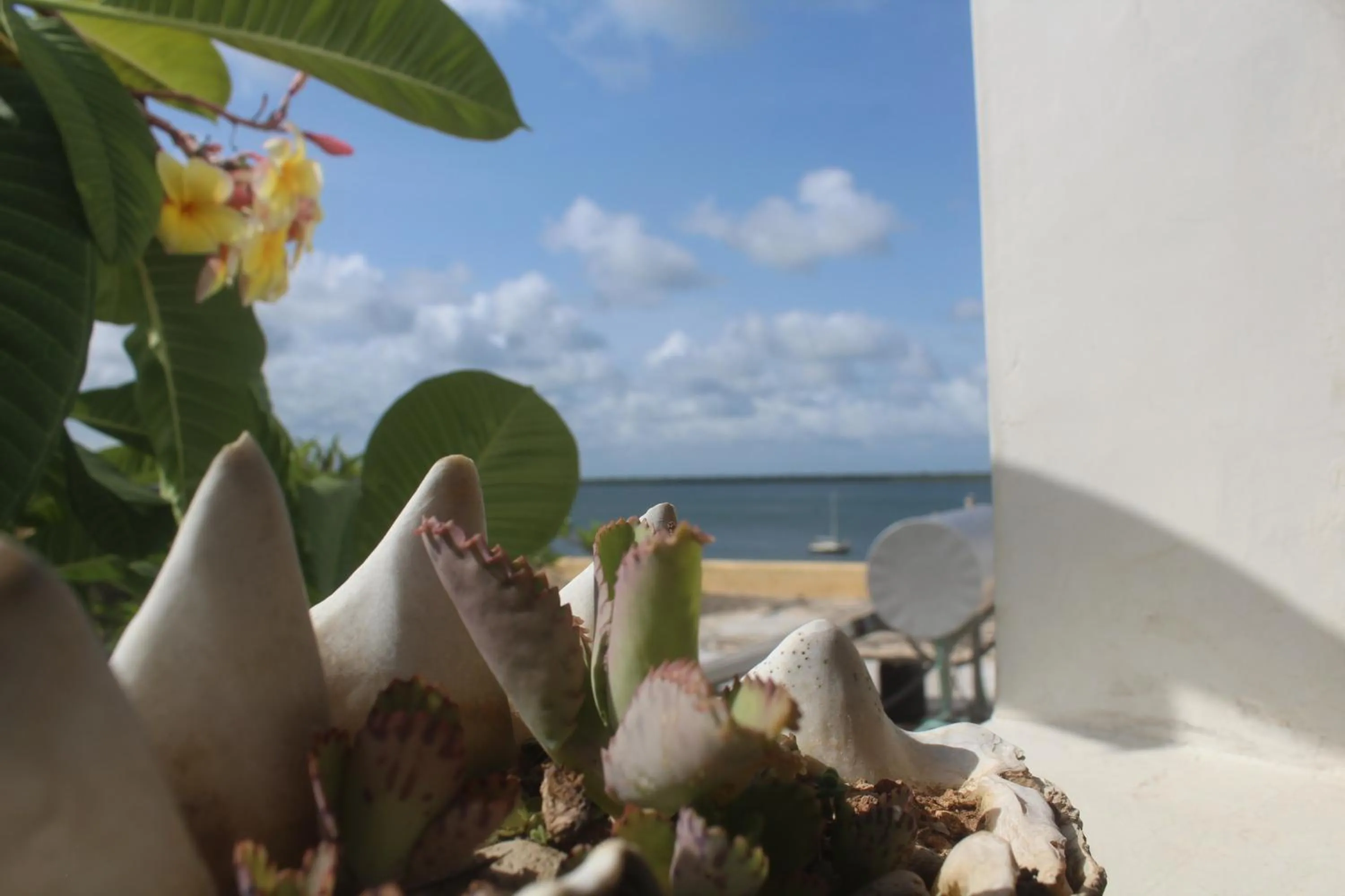 Sea view in Kijani Hotel