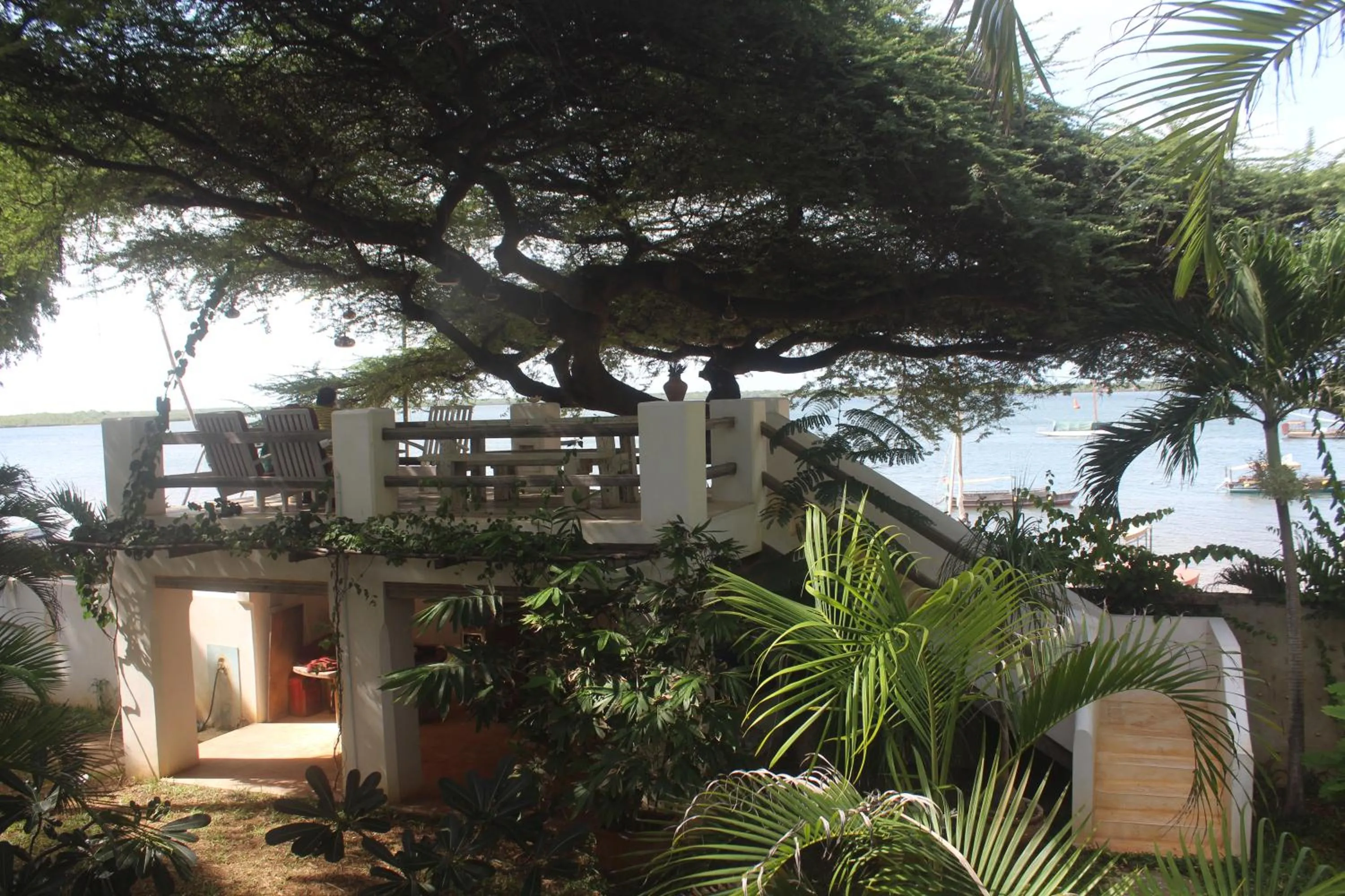 Natural landscape in Kijani Hotel