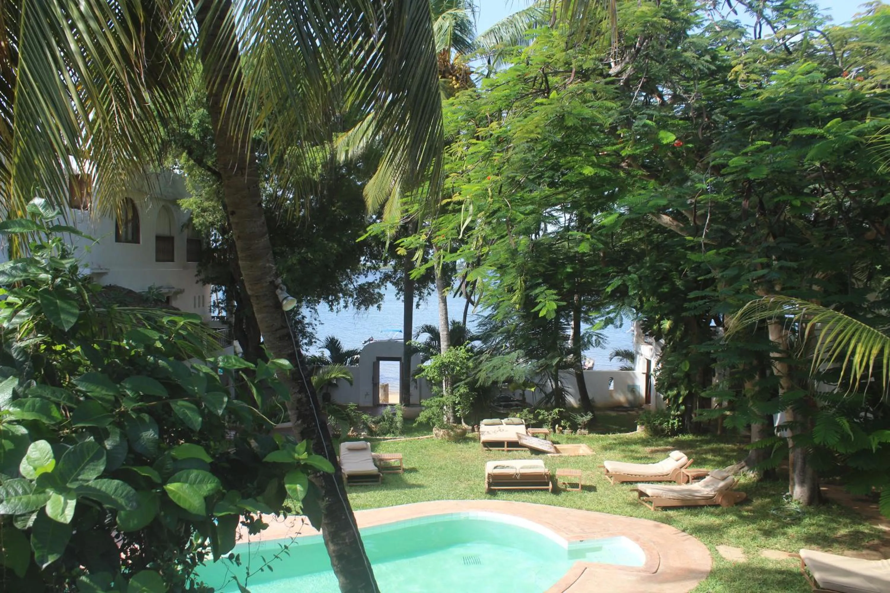 Swimming pool in Kijani Hotel