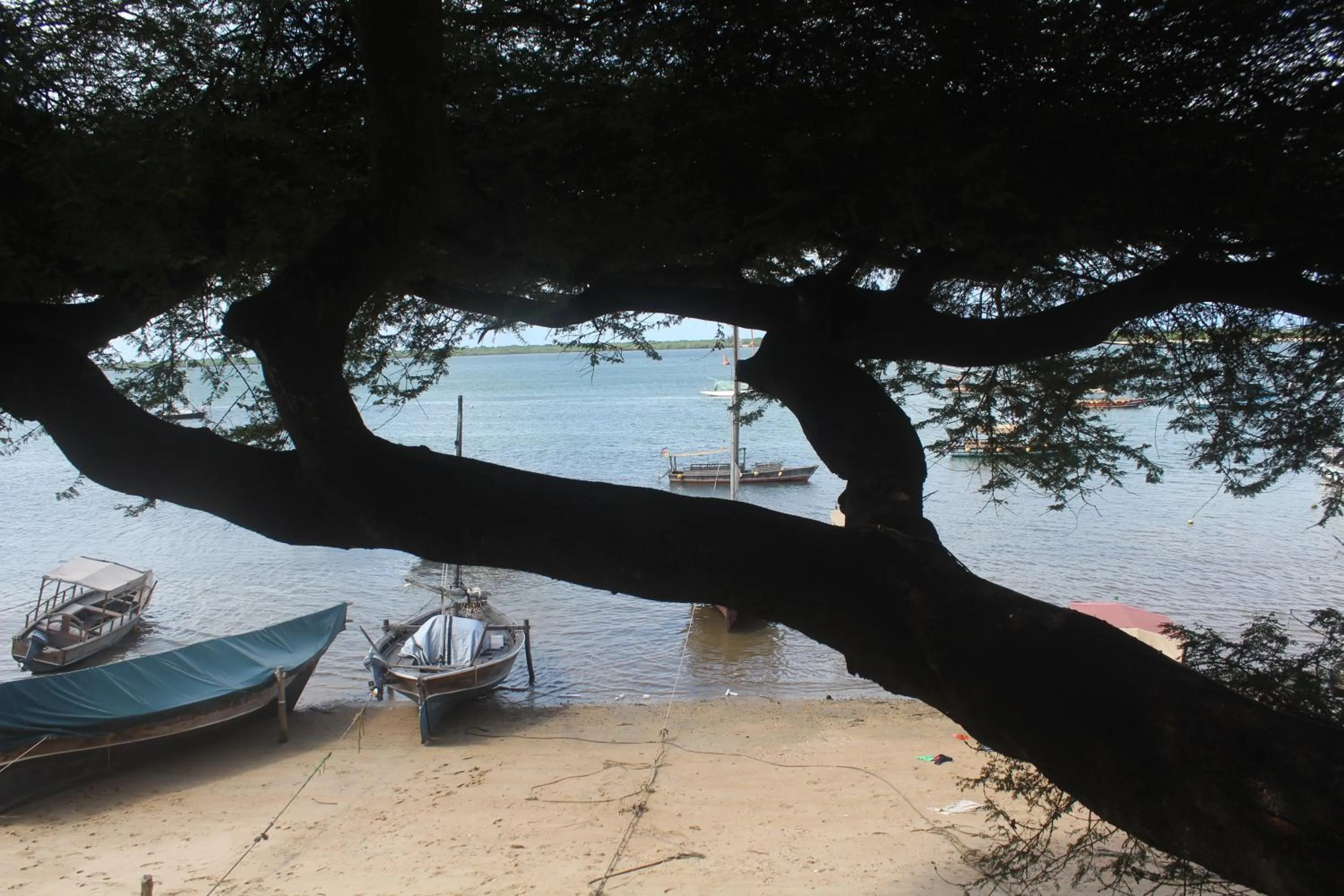 Lake view in Kijani Hotel