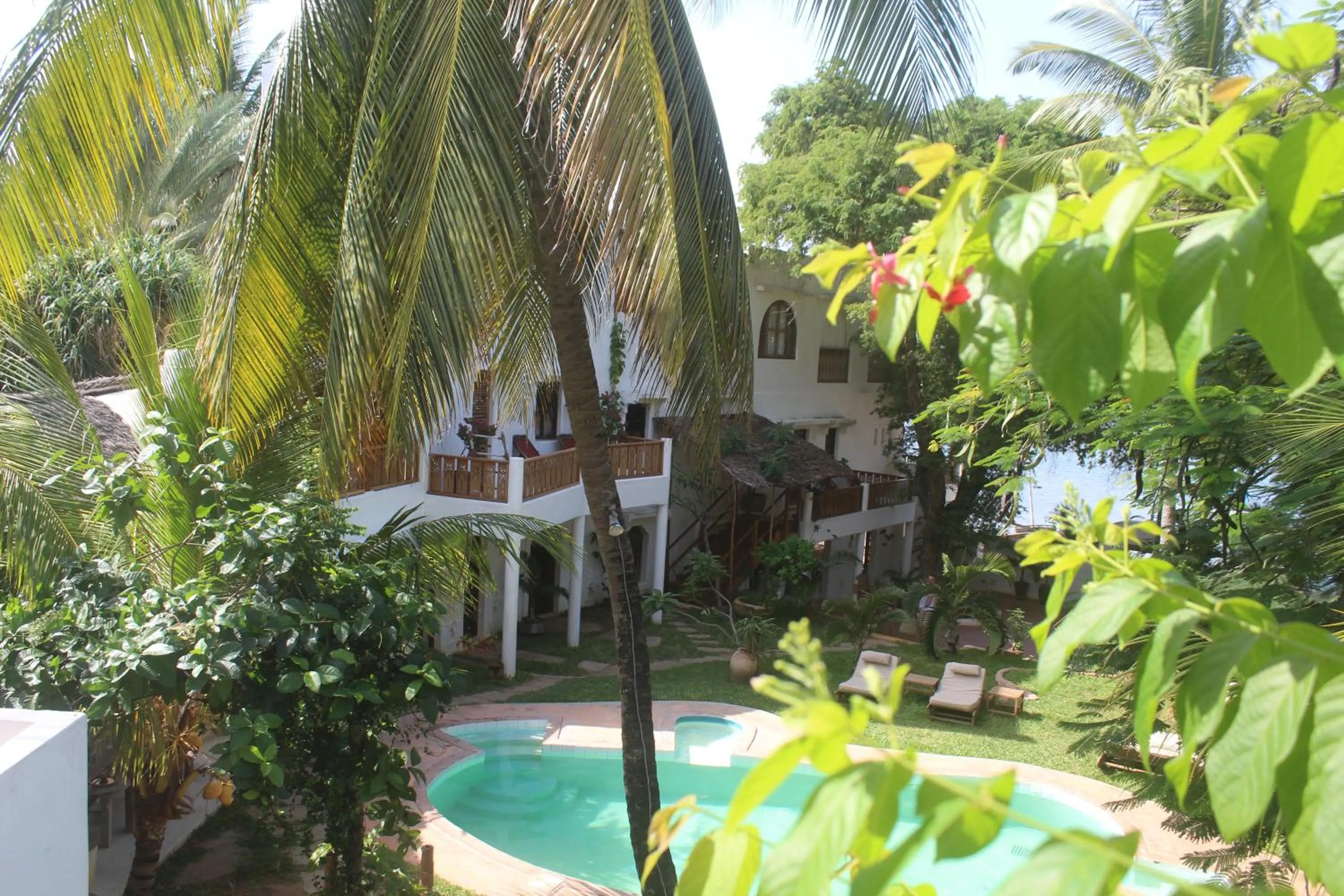 Natural landscape in Kijani Hotel
