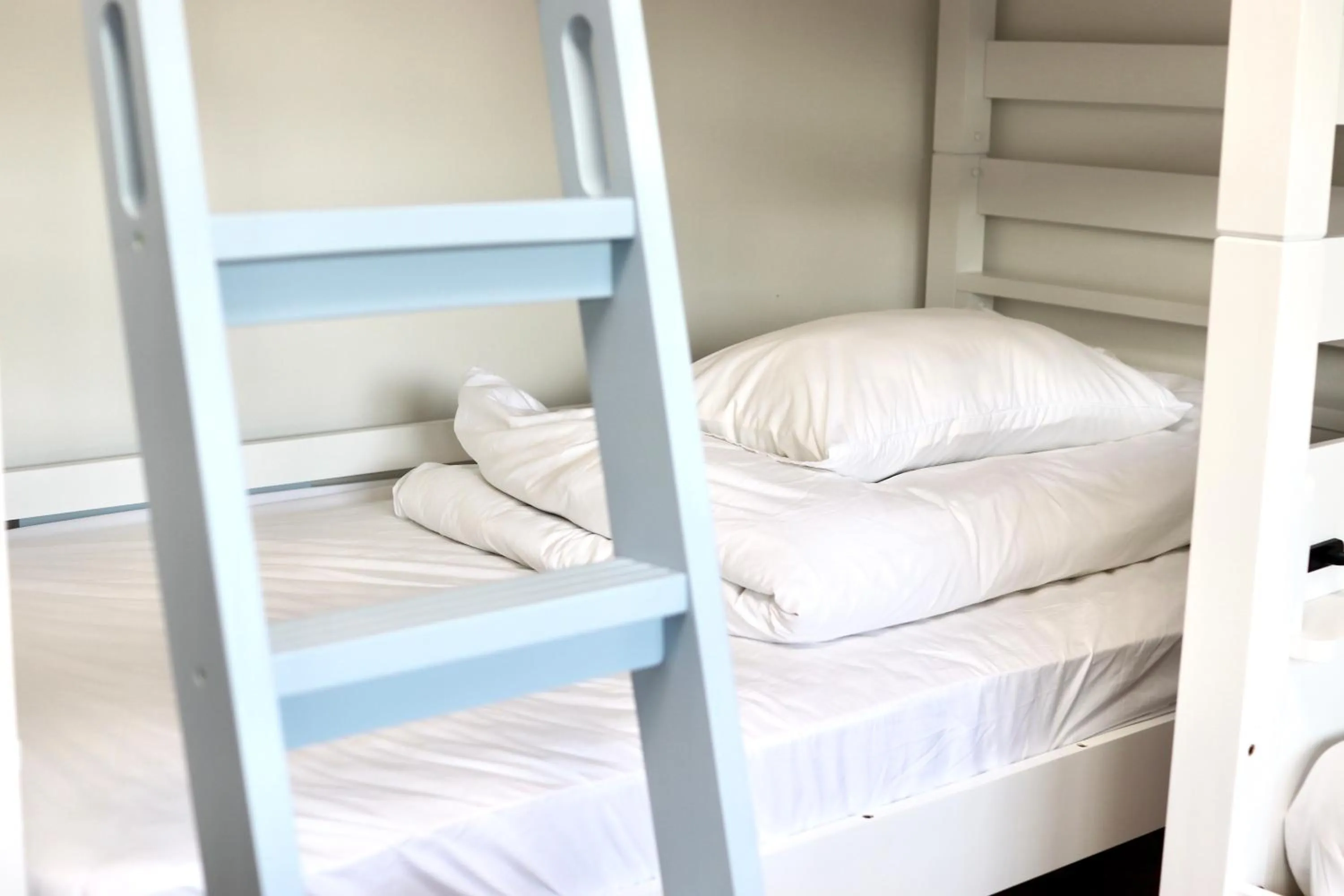 bunk bed, Bed in Guesthouse All you need - All rooms have an ocean view!