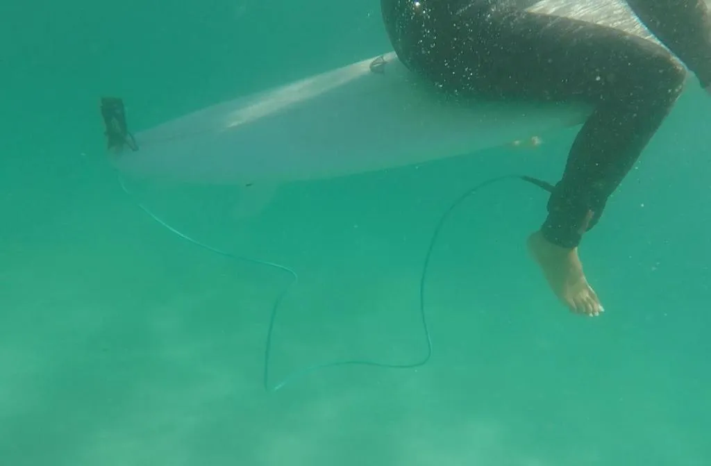 Snorkeling in Guesthouse All you need - All rooms have an ocean view!