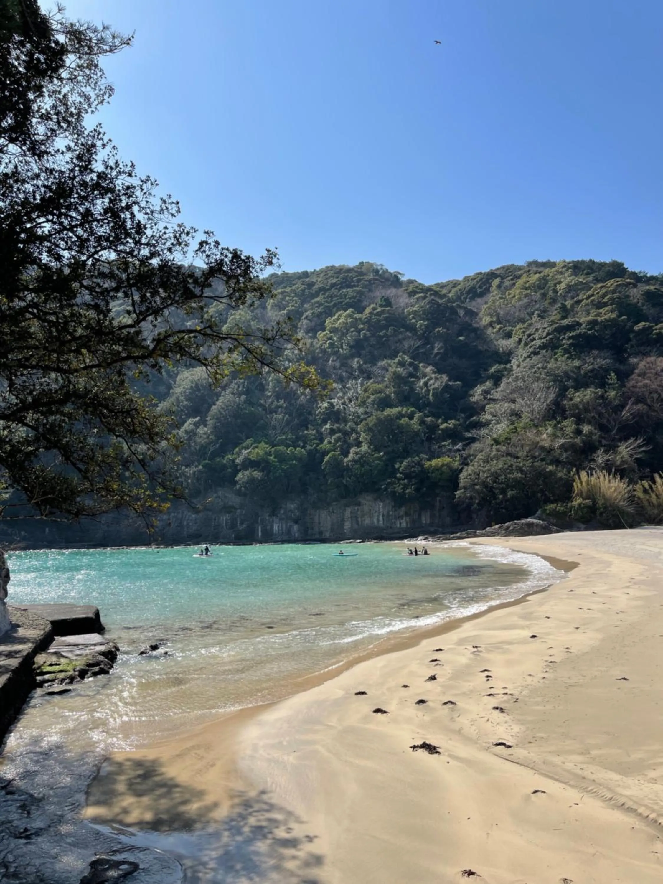 Natural landscape in Guesthouse All you need - All rooms have an ocean view!