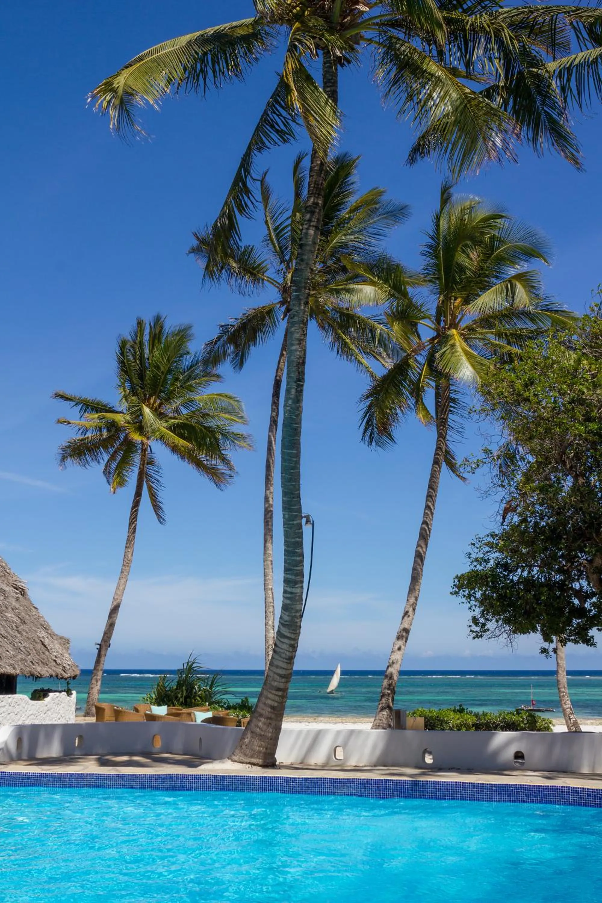 Beach in Ocean Village Club (Adults Only)