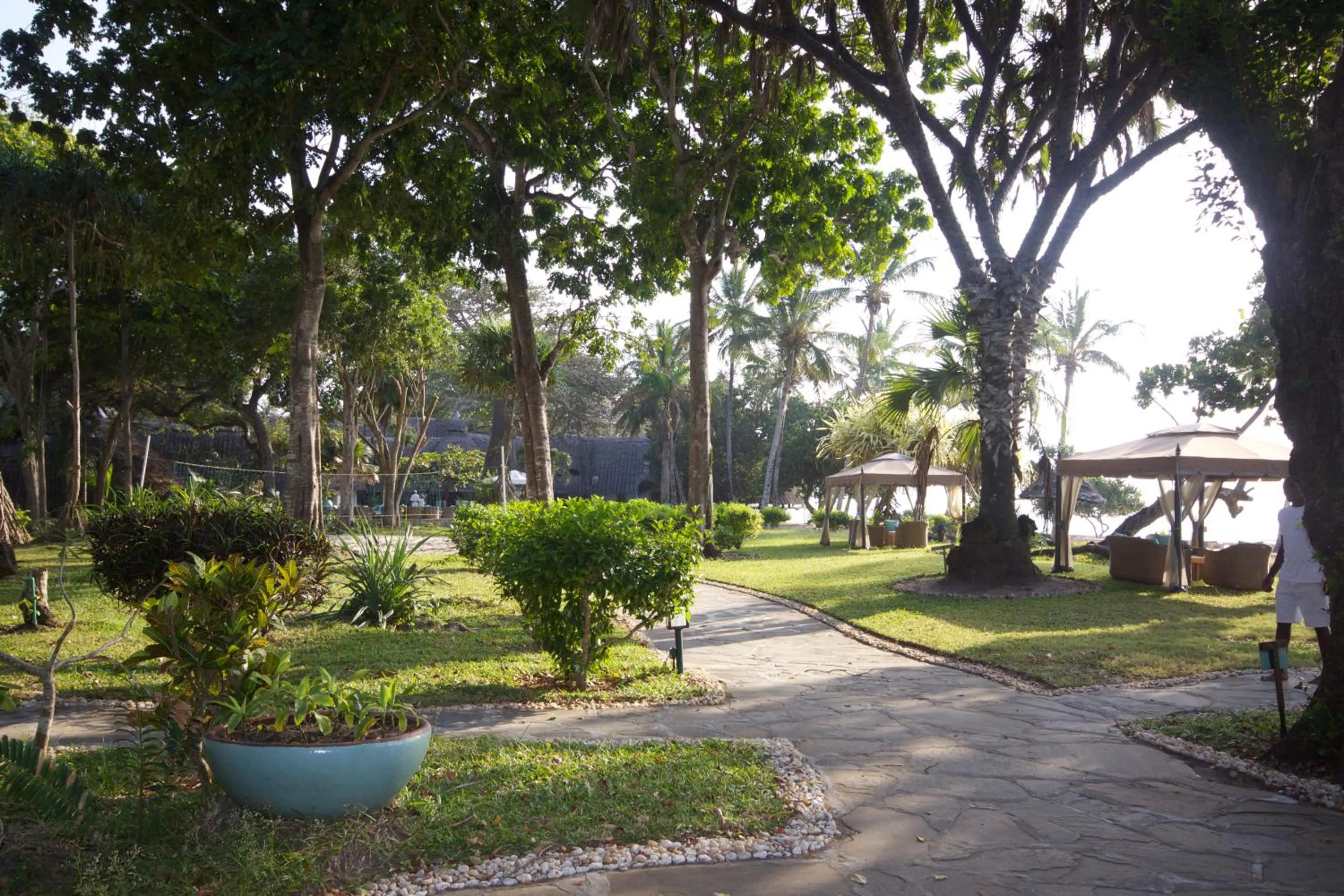 Garden in Ocean Village Club (Adults Only)