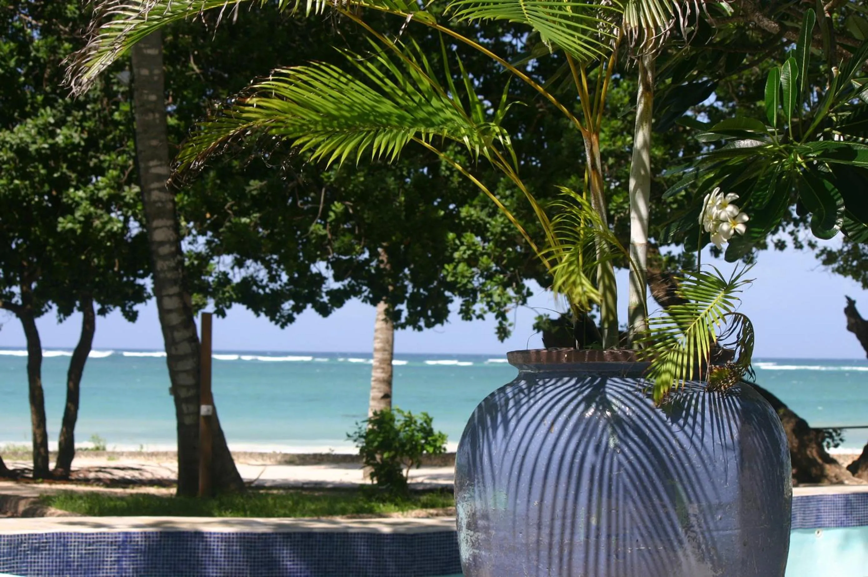 Beach in Ocean Village Club (Adults Only)