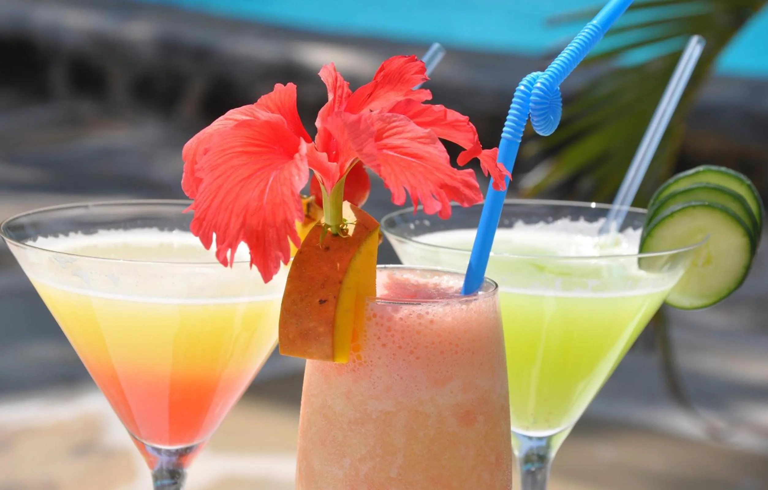 Alcoholic drinks in Ocean Village Club (Adults Only)