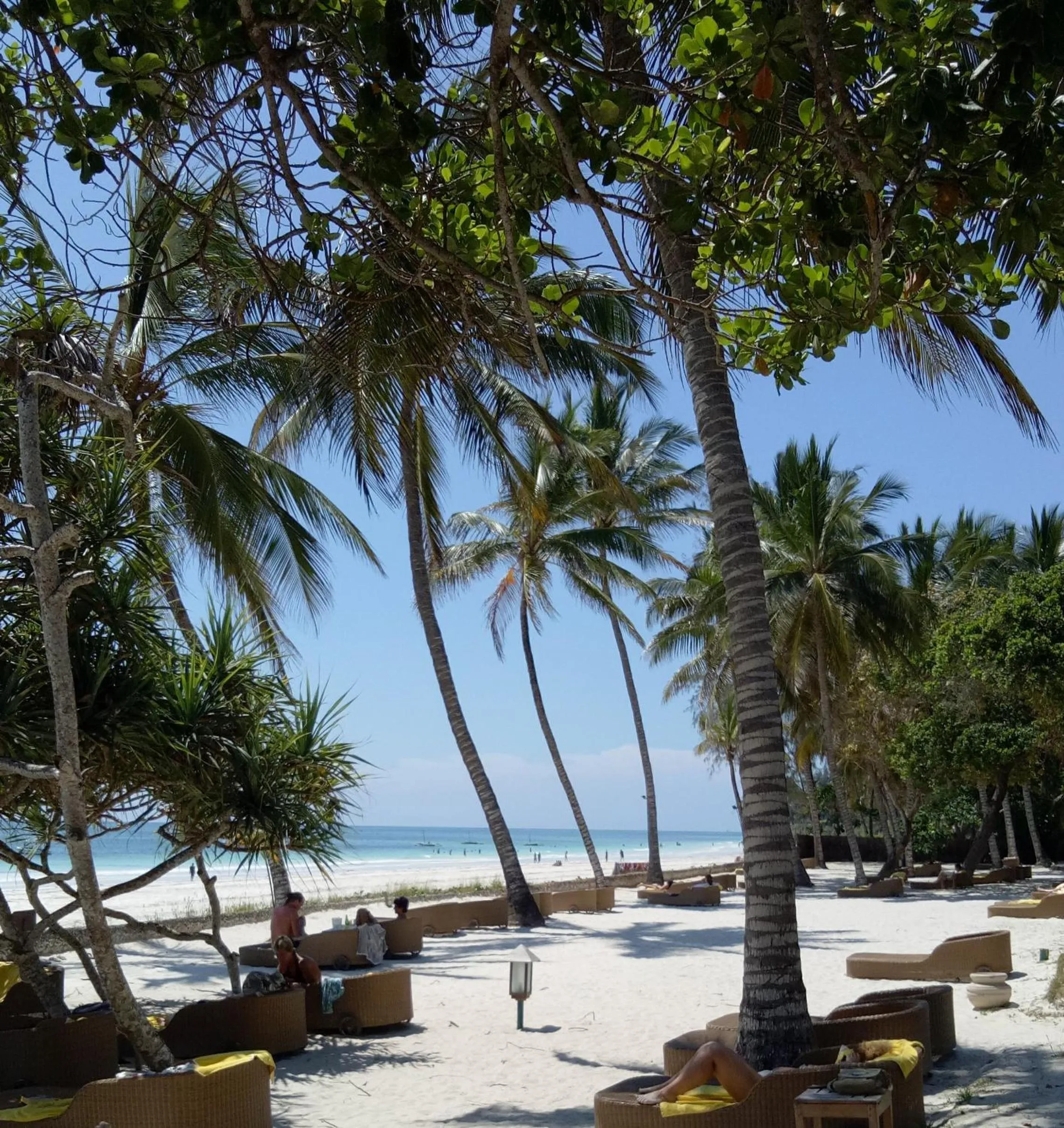 Beach in Ocean Village Club (Adults Only)