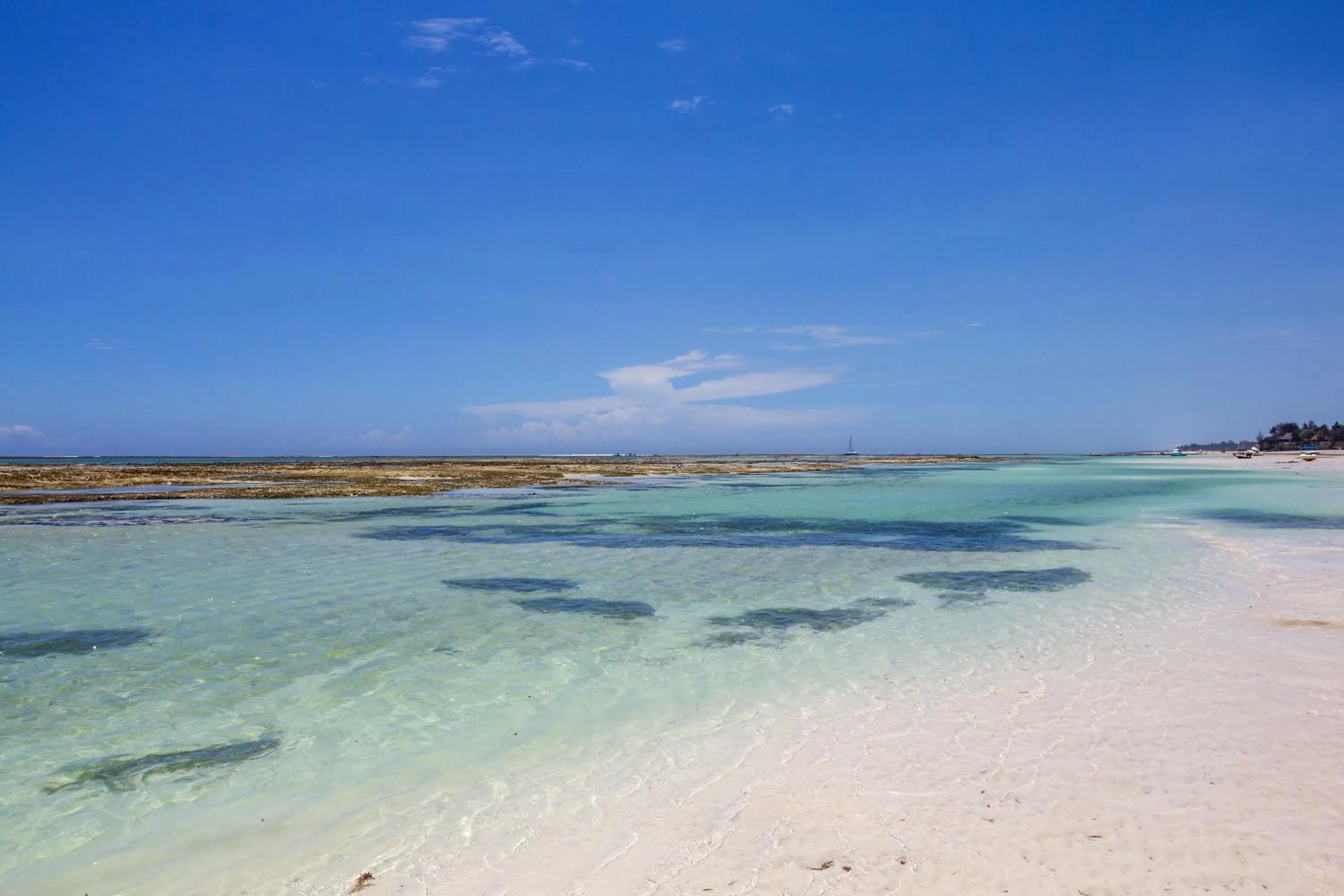 Beach in Ocean Village Club (Adults Only)