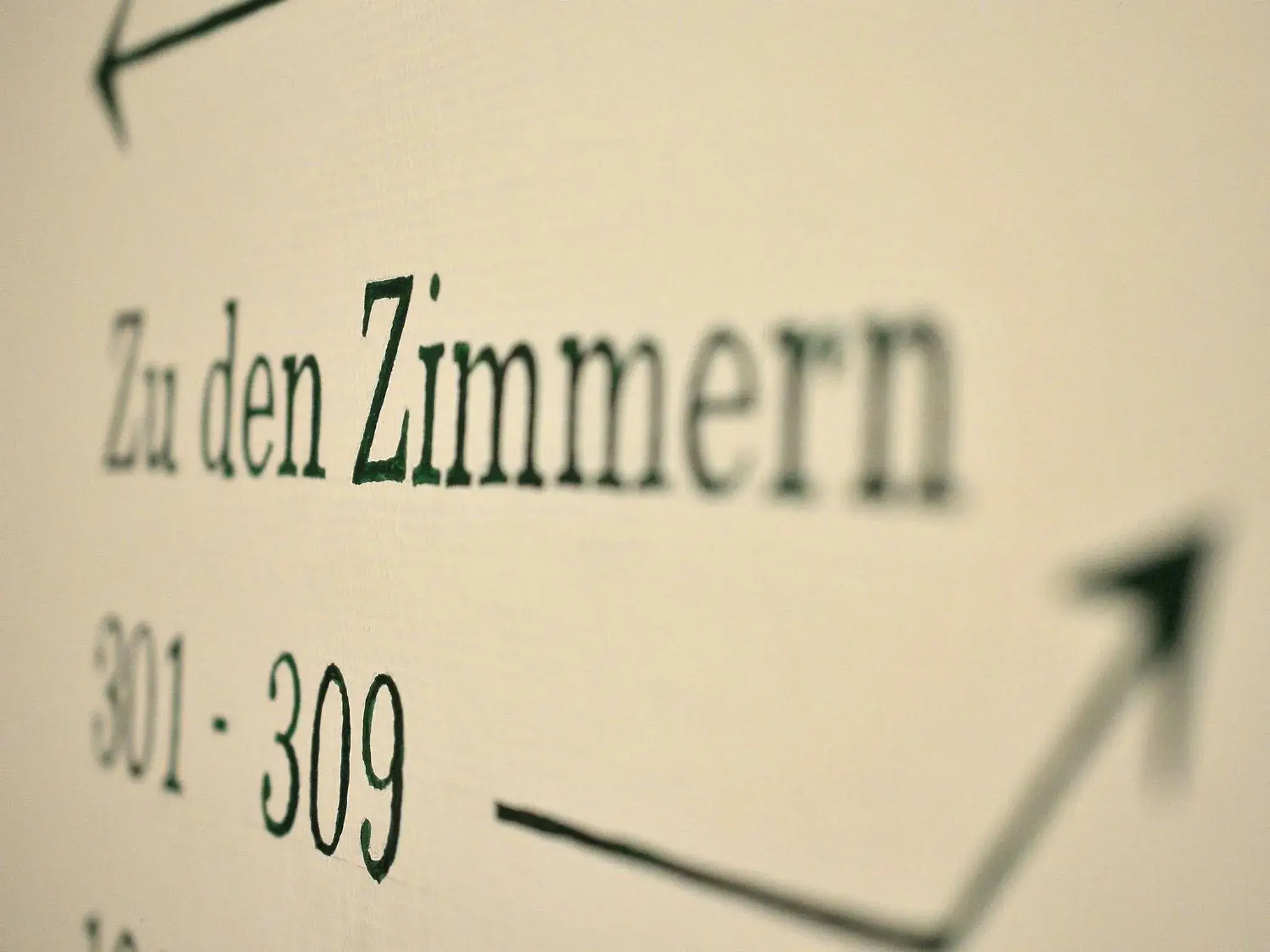 Double Room in Eisenberger Hof Double Room in Eisenberger Hof