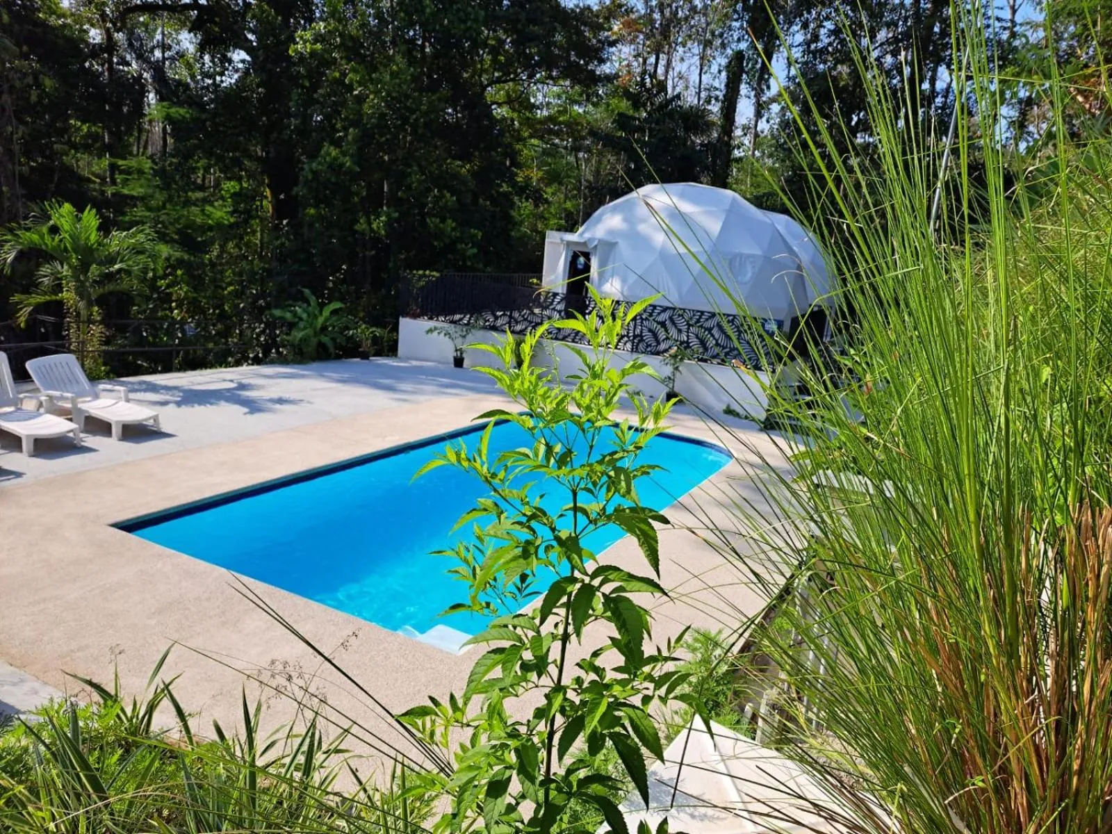 Spring in HOTEL, VILLAS y GLAMPINGS MYA -PUERTO VIEJO, Limon, CR