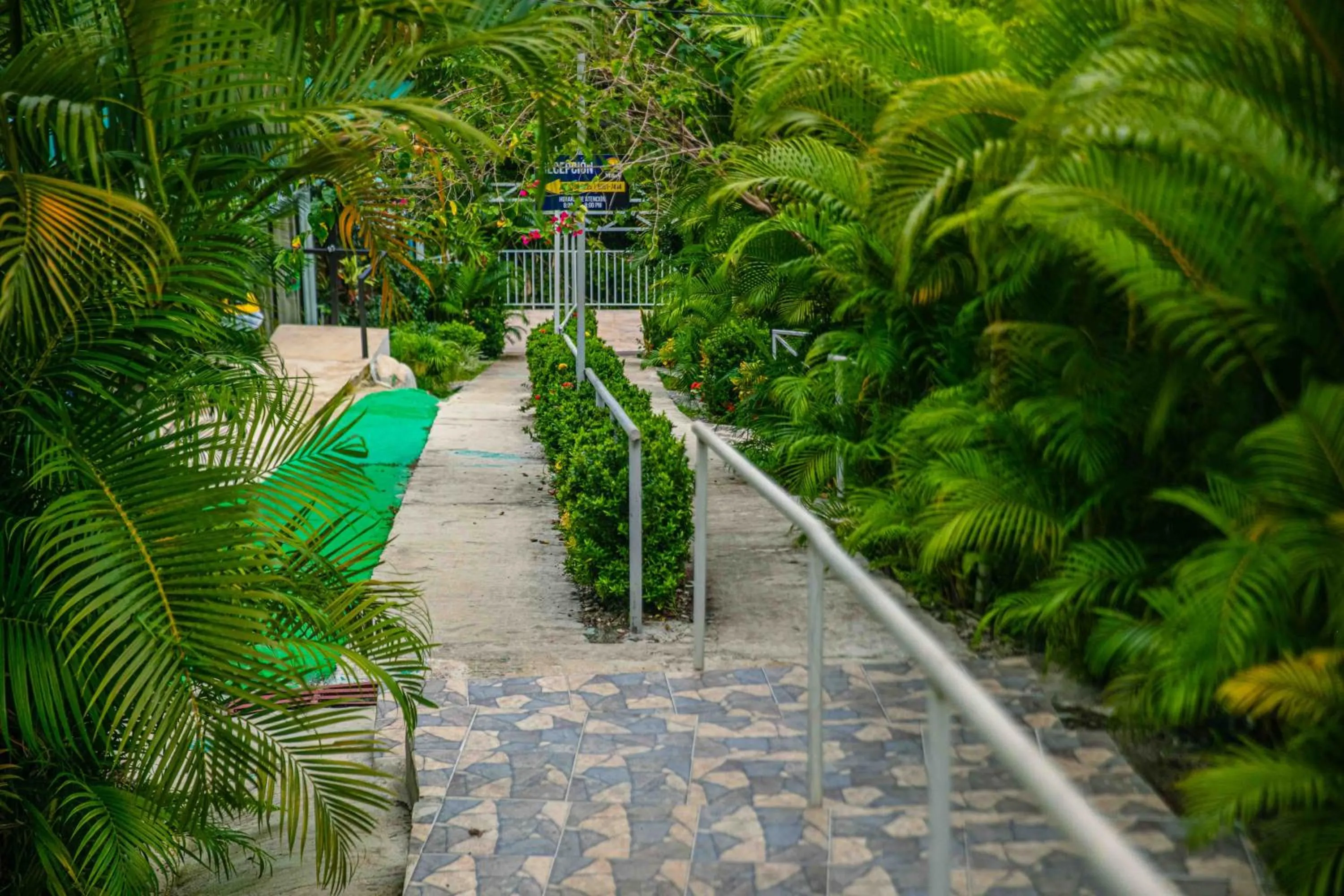 HOTEL, VILLAS y GLAMPINGS MYA -PUERTO VIEJO, Limon, CR