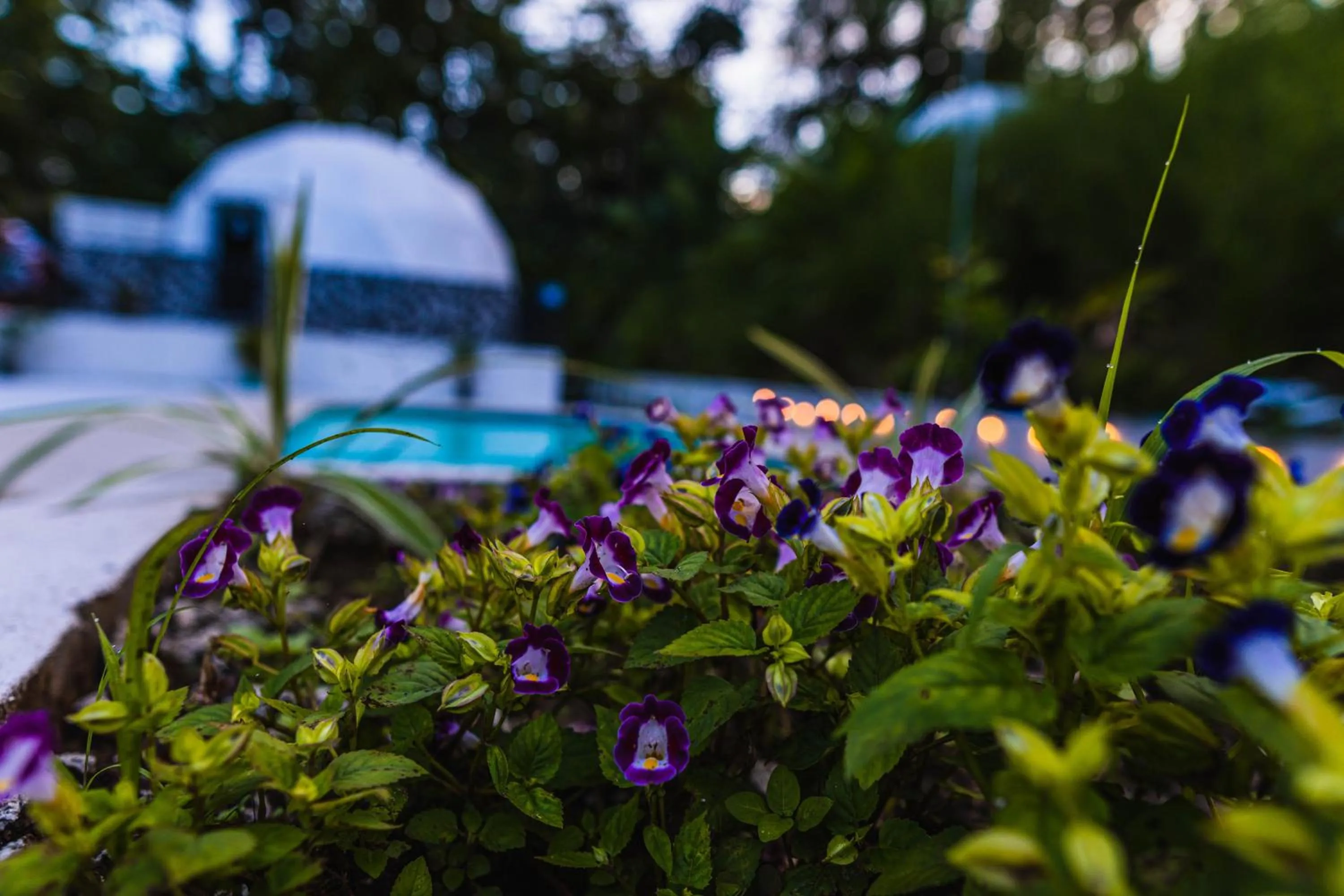 HOTEL, VILLAS y GLAMPINGS MYA -PUERTO VIEJO, Limon, CR