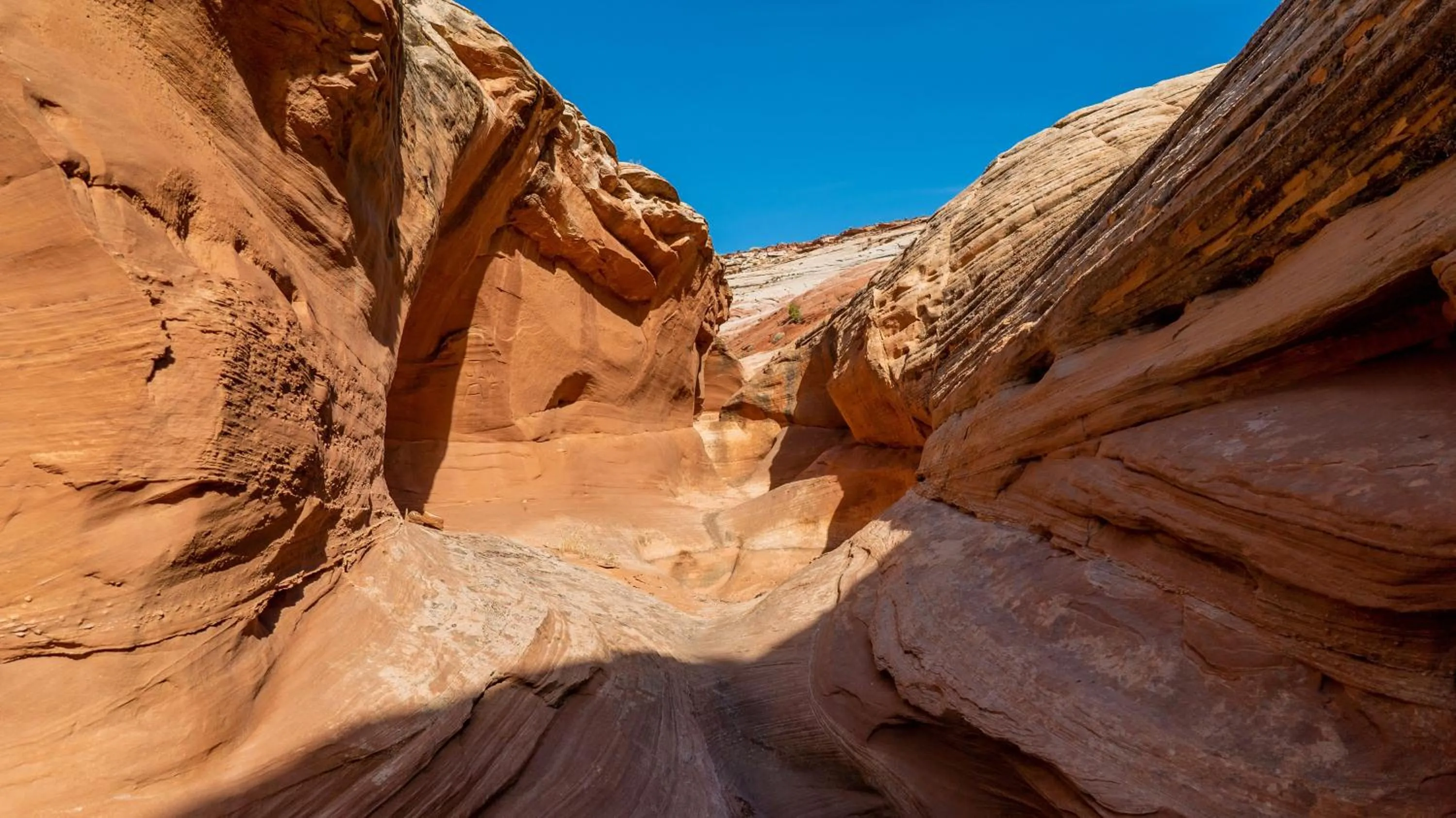 Natural landscape in Under Canvas Lake Powell-Grand Staircase