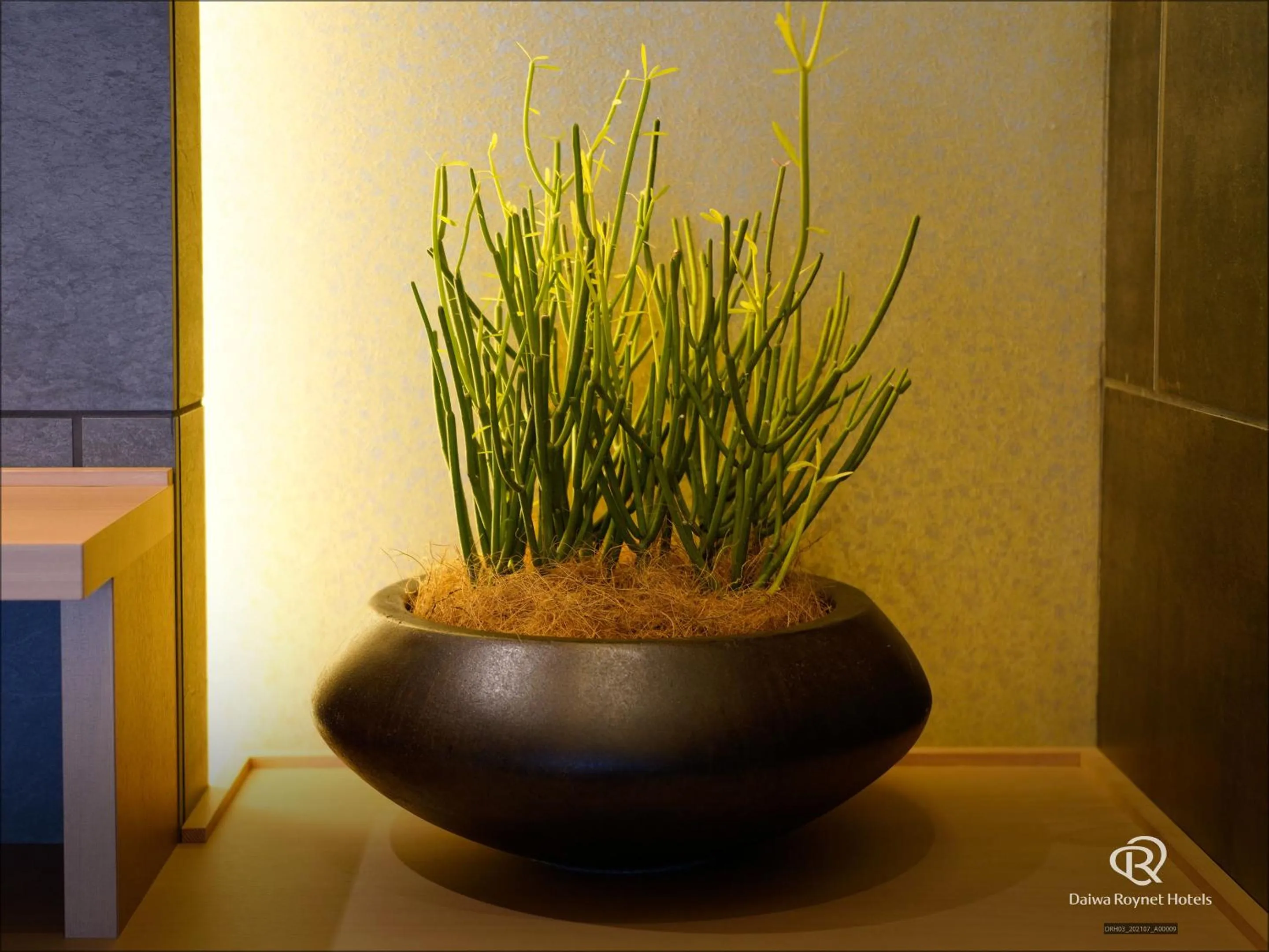 Decorative detail in Daiwa Roynet Hotel Kanazawa Eki Nishiguchi