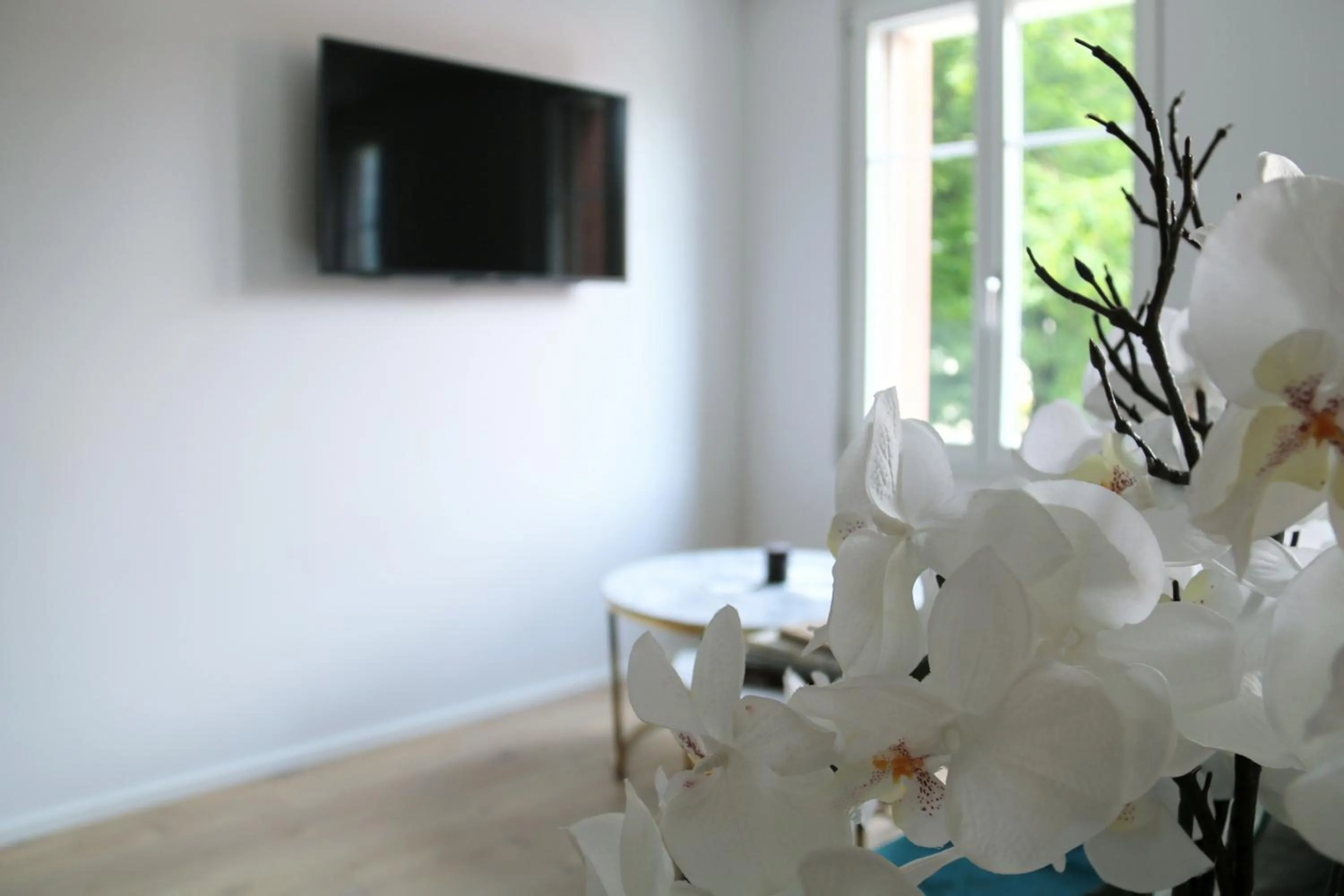 TV and multimedia in Hotel Sonne Interlaken-Matten