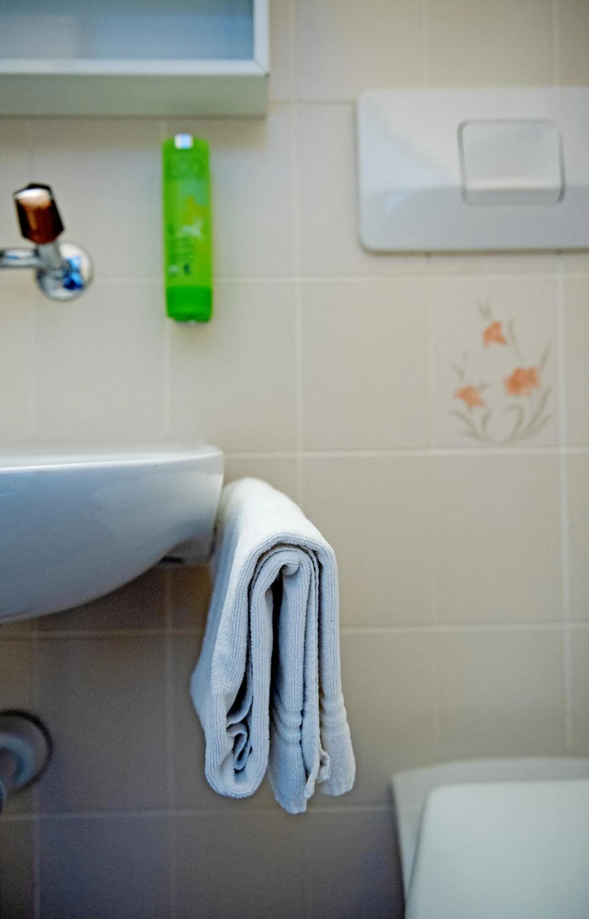 Budget Double or Twin Room in Hotel Sonne Interlaken-Matten