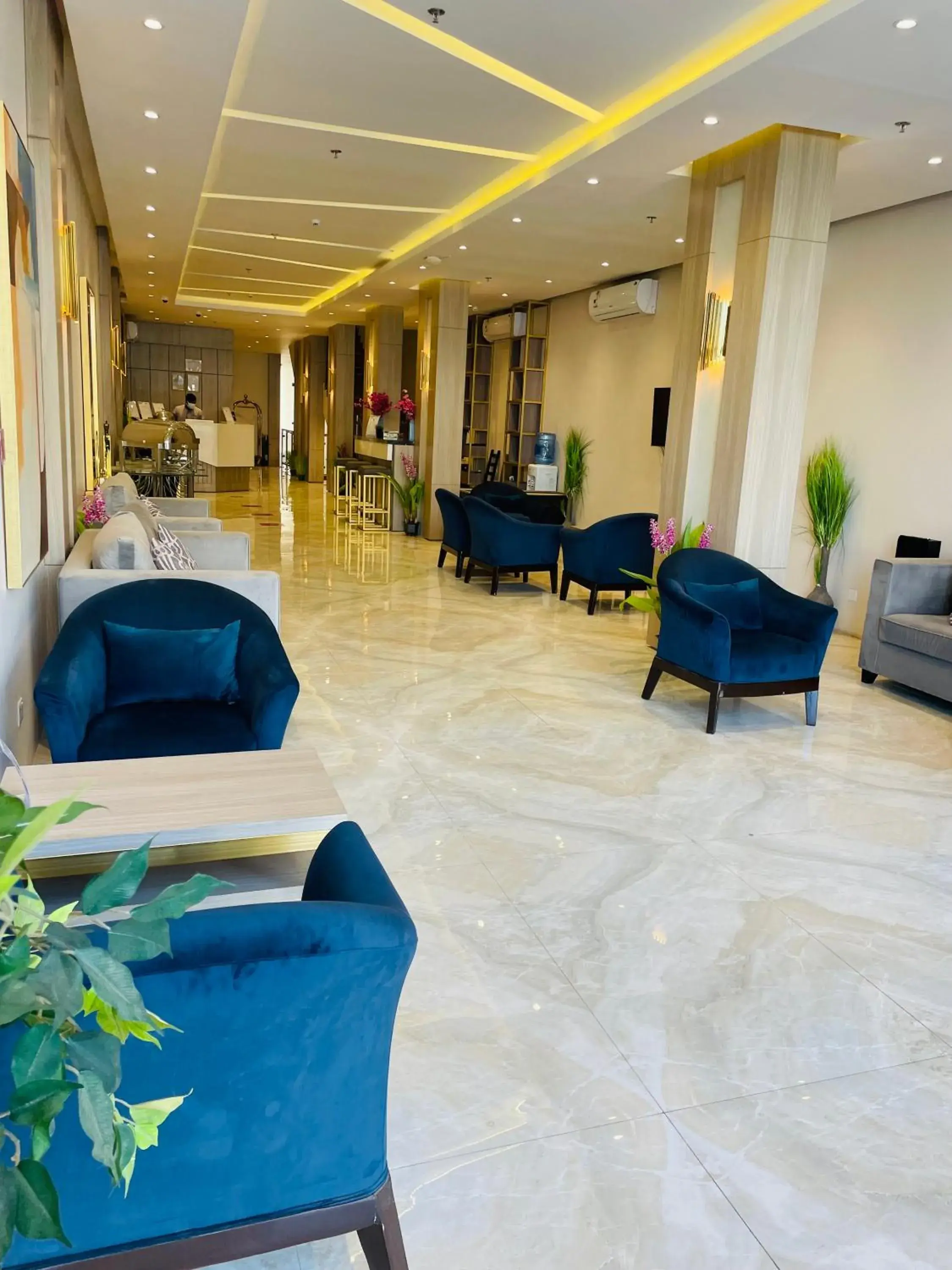 Lobby or reception in Terrace View Serviced Apartments 2 Lobby or reception in Terrace View Serviced Apartments 2