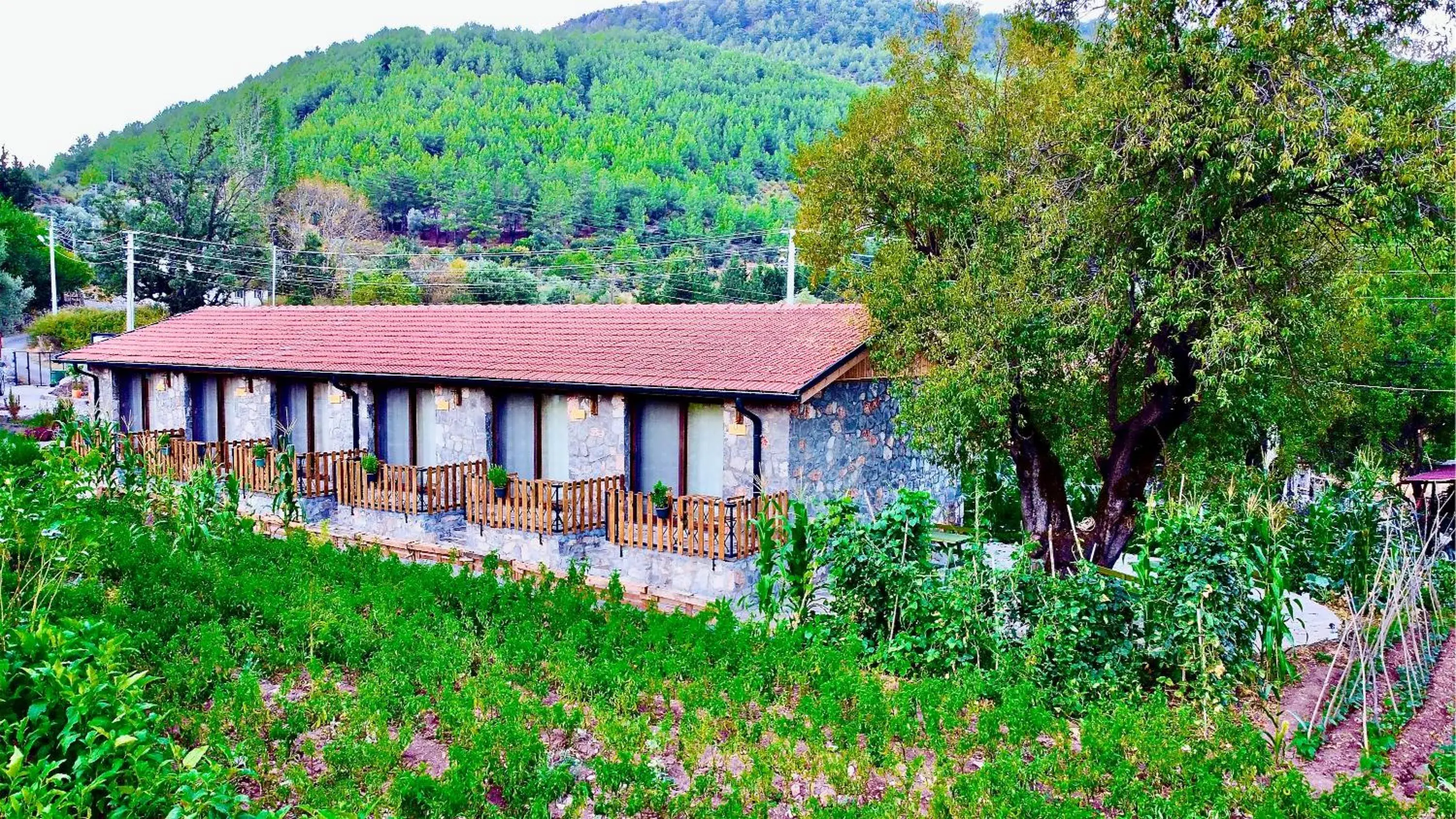 Bird's eye view in Dedehan Retreat Otel Bird's eye view in Dedehan Retreat Otel