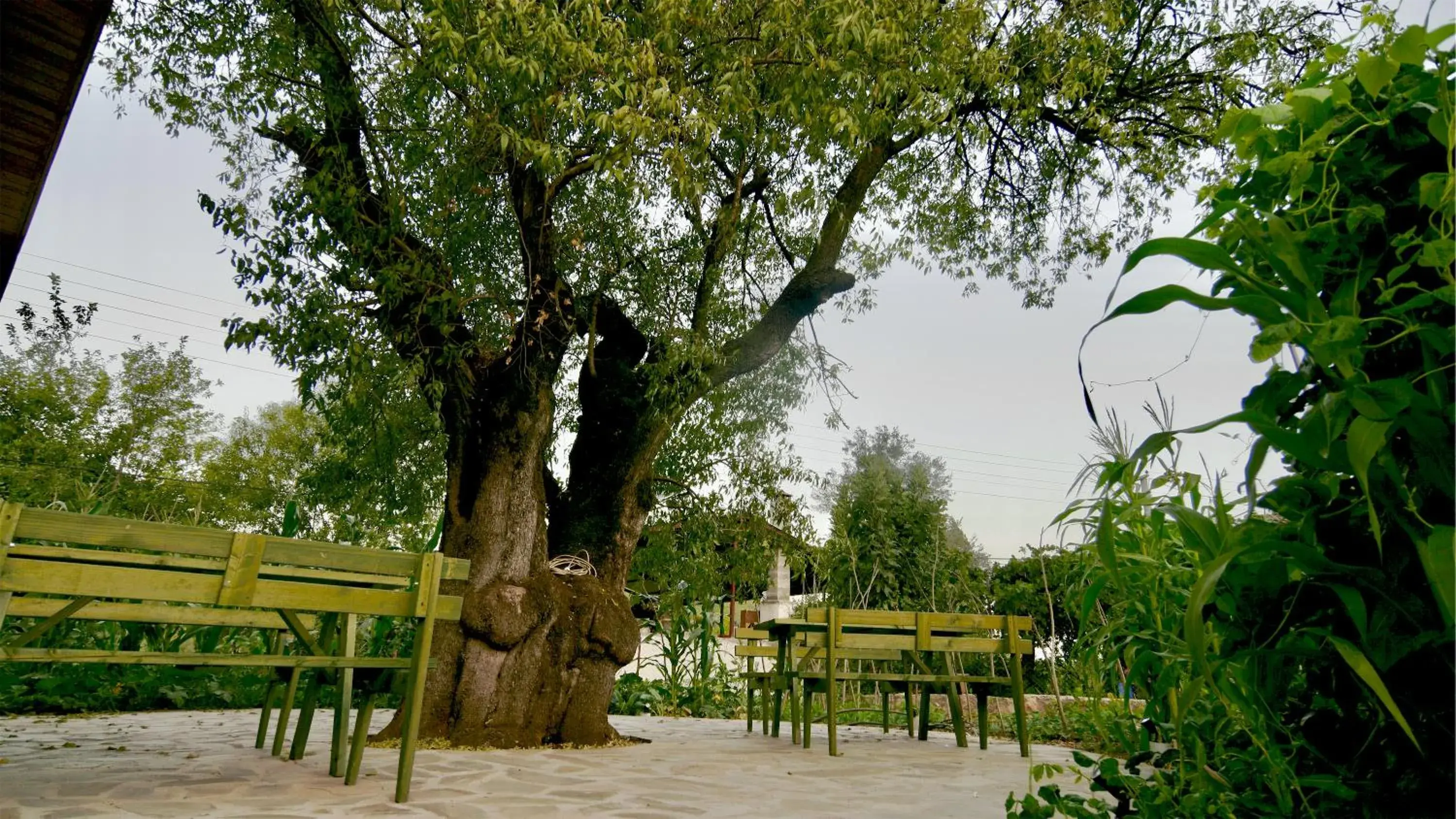 Garden view in Dedehan Retreat Otel Garden view in Dedehan Retreat Otel