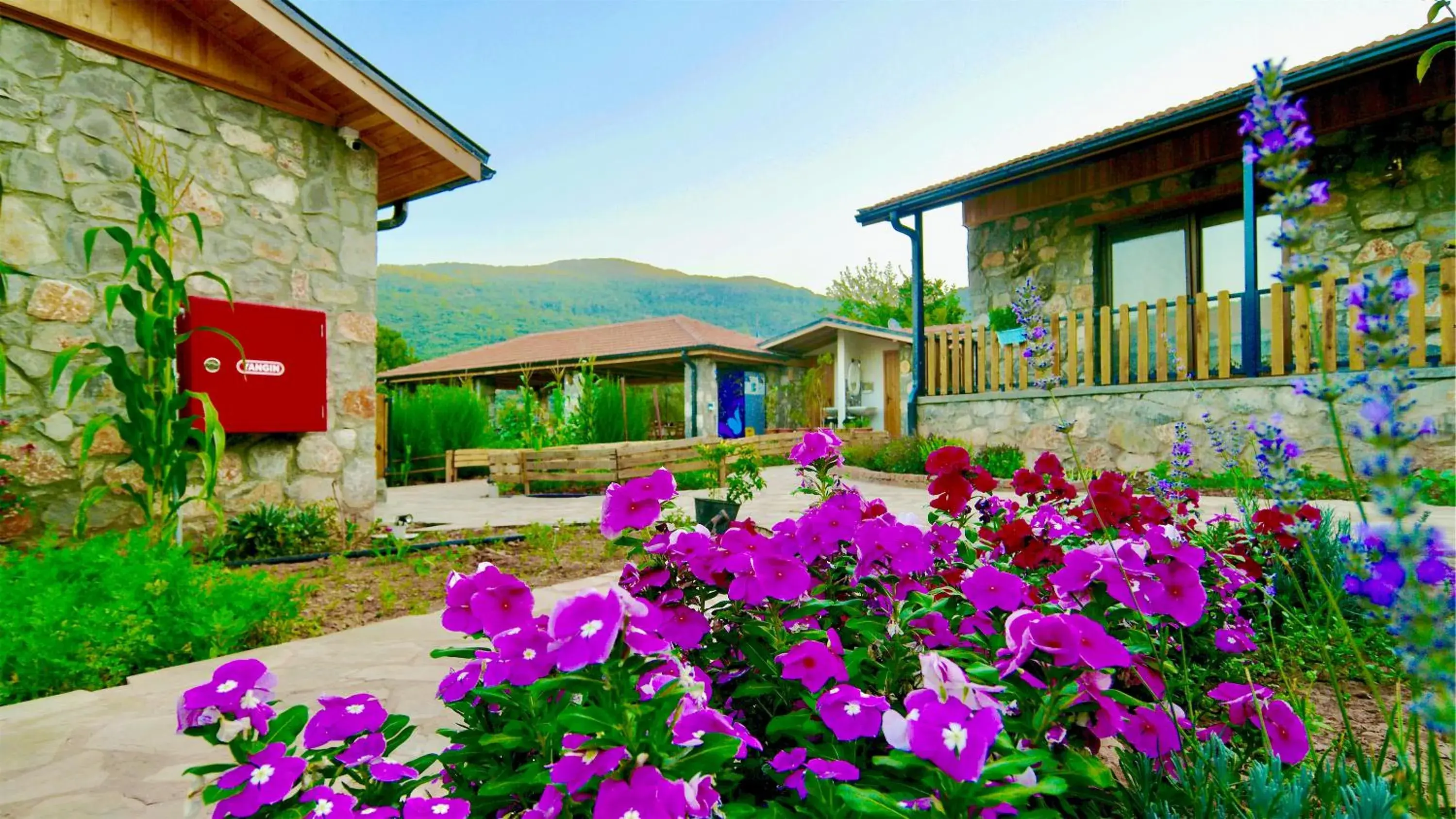 Garden view in Dedehan Retreat Otel Garden view in Dedehan Retreat Otel