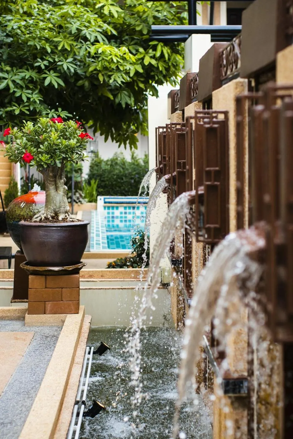 Area and facilities in La Seine City Resort, Chiang Mai