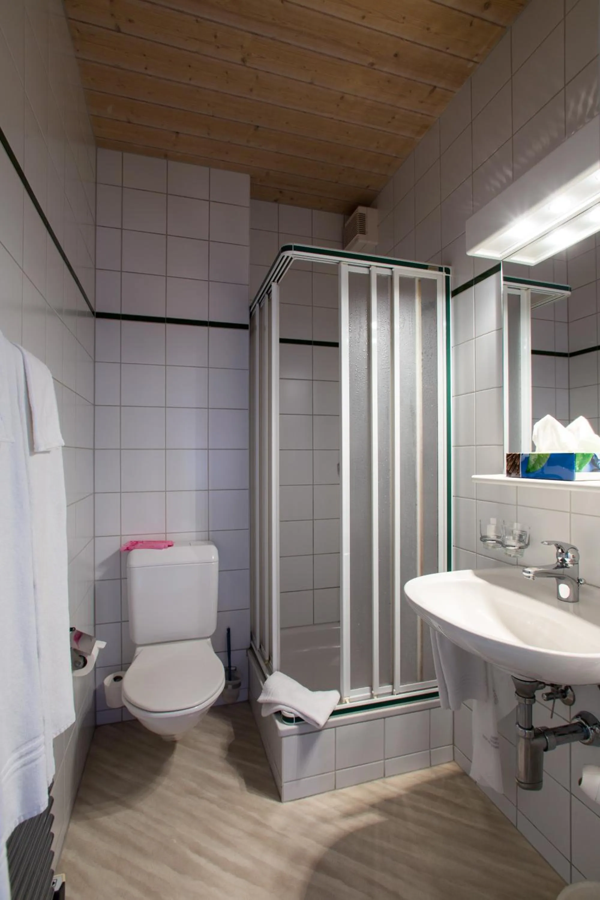 Bathroom in Seminarhotel Linde Stettlen