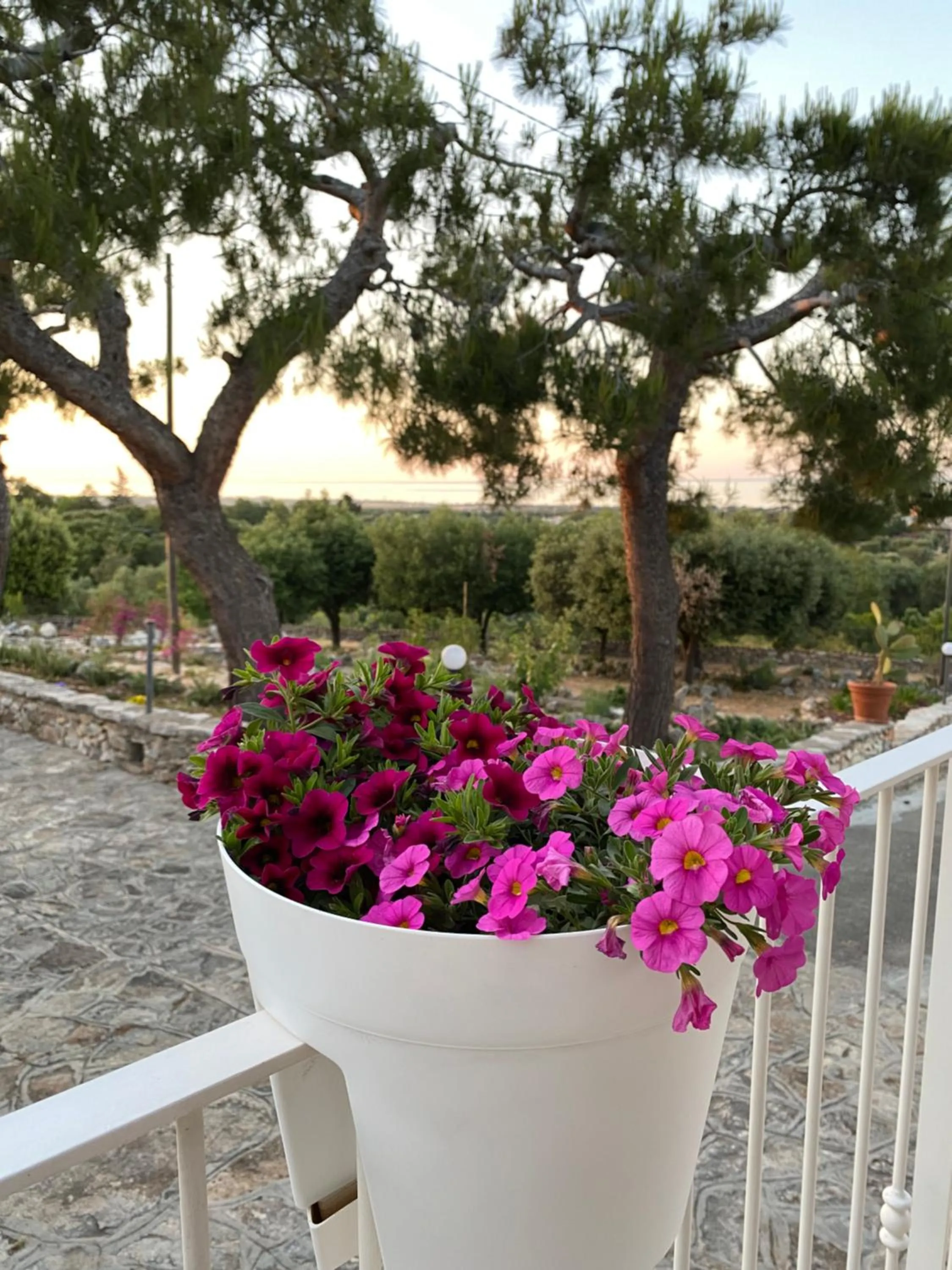 Balcony/Terrace in Monte Simeone