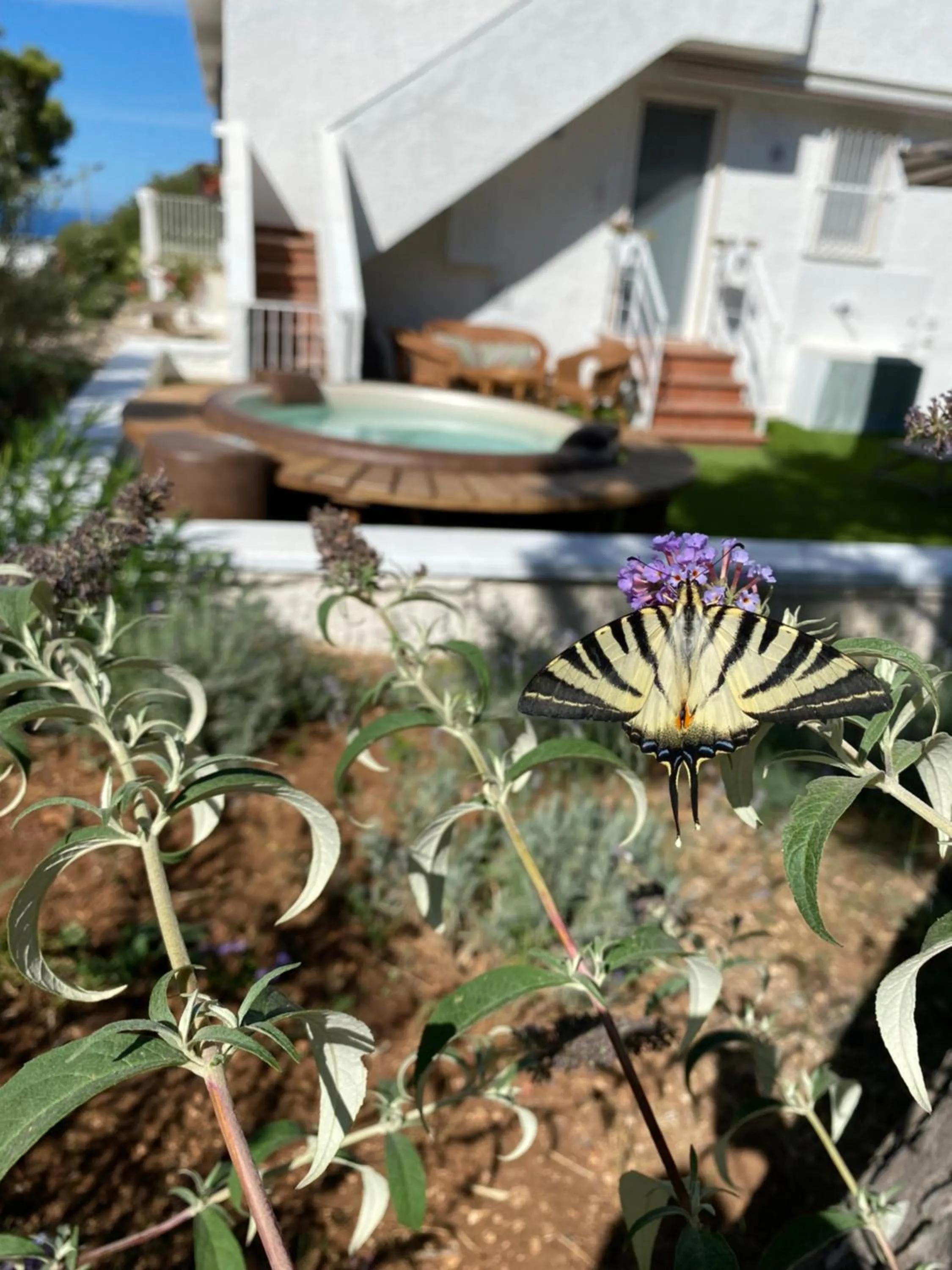 Garden in Monte Simeone