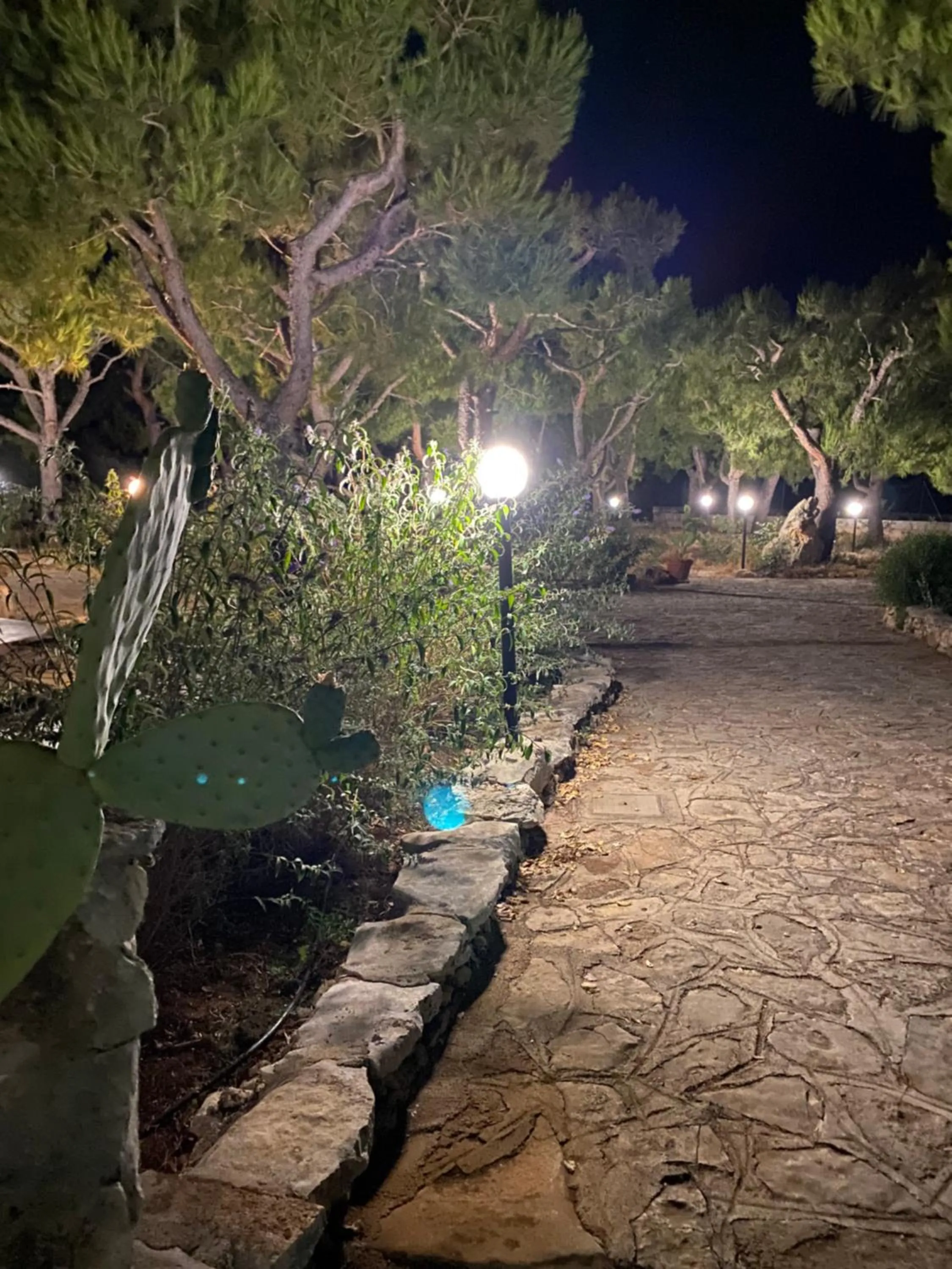 Garden in Monte Simeone