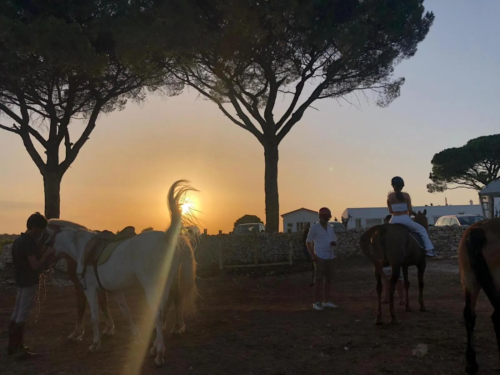 Summer in Le Masserie Zucaro